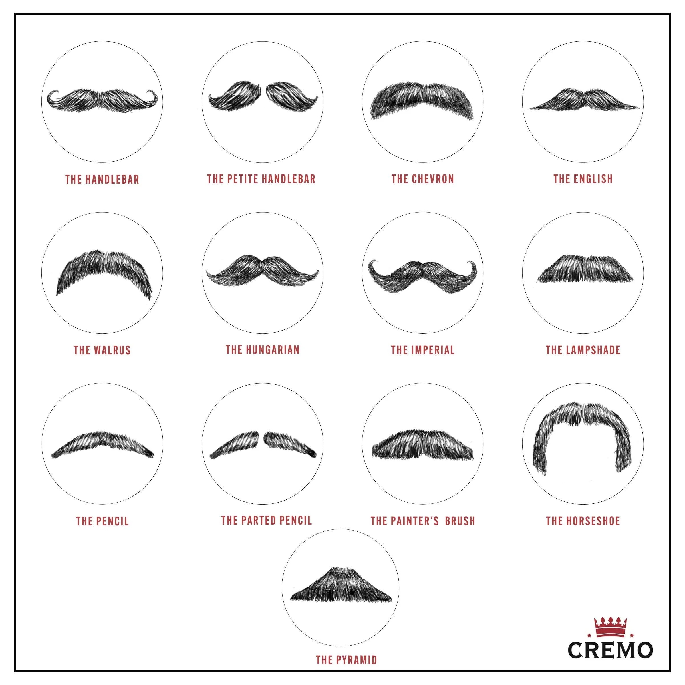 Movember is here! campaign photo, 2 of 4