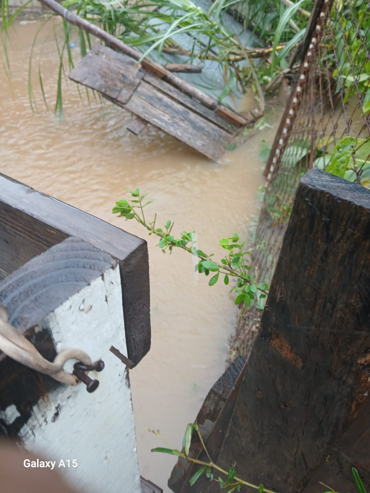 Help Rosemarie Black Rebuild After Hurricane campaign photo, 4 of 8