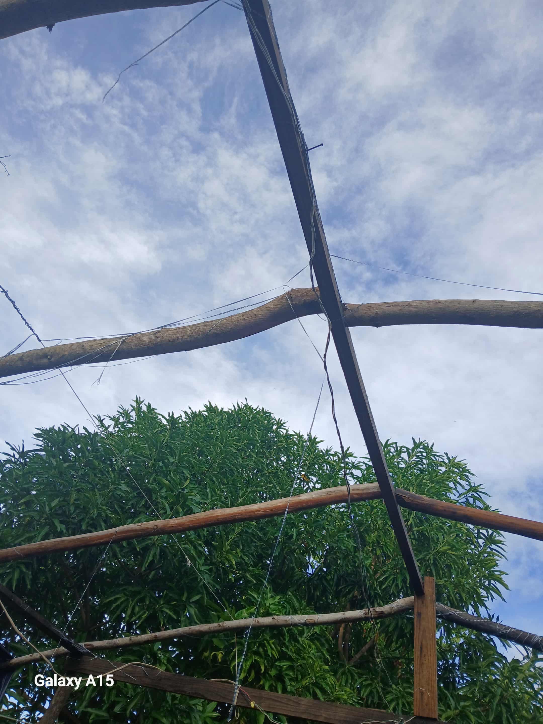 Help Rosemarie Black Rebuild After Hurricane campaign photo, 5 of 8