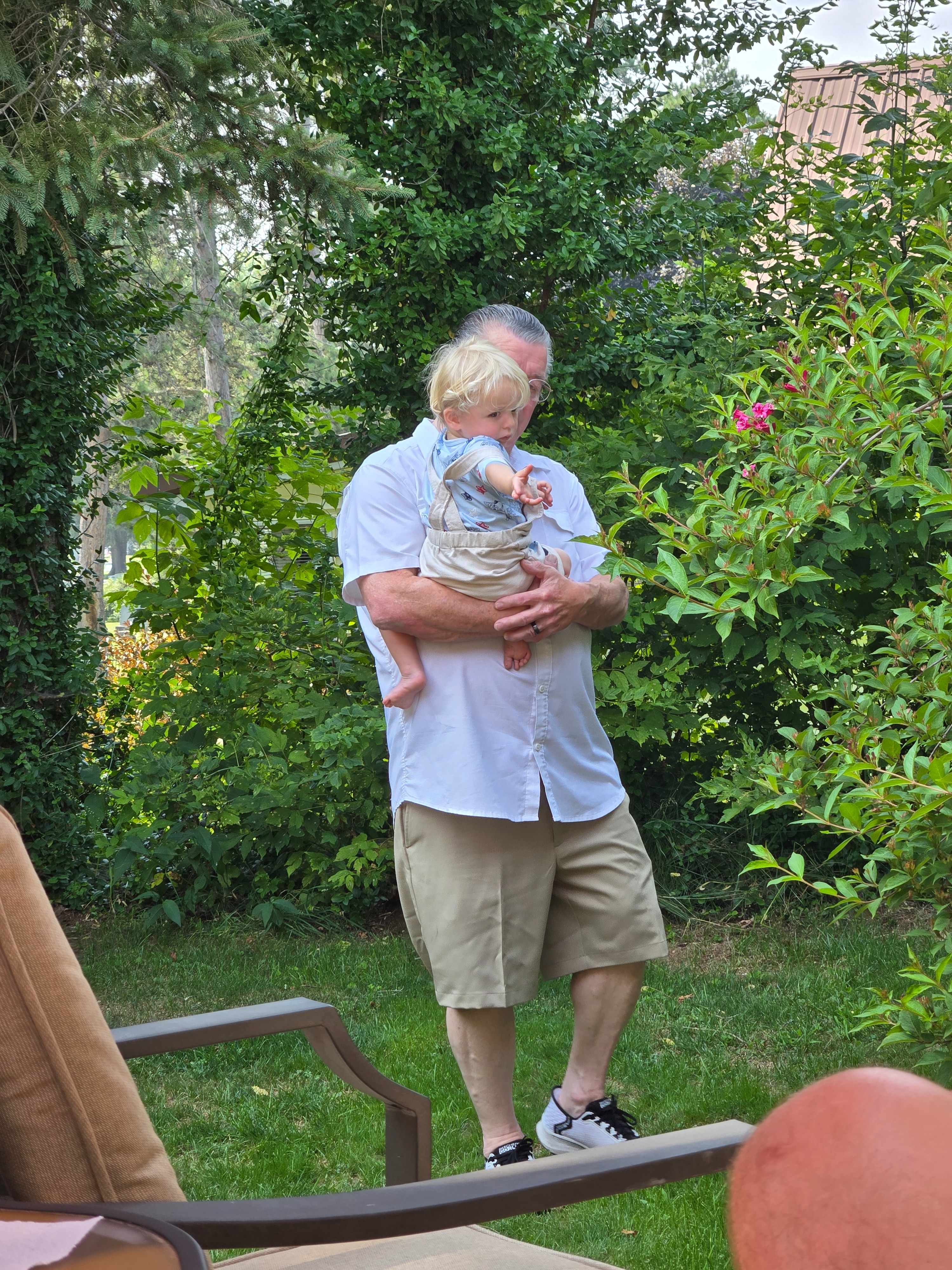 Help poppy in his recovery campaign photo, 4 of 6