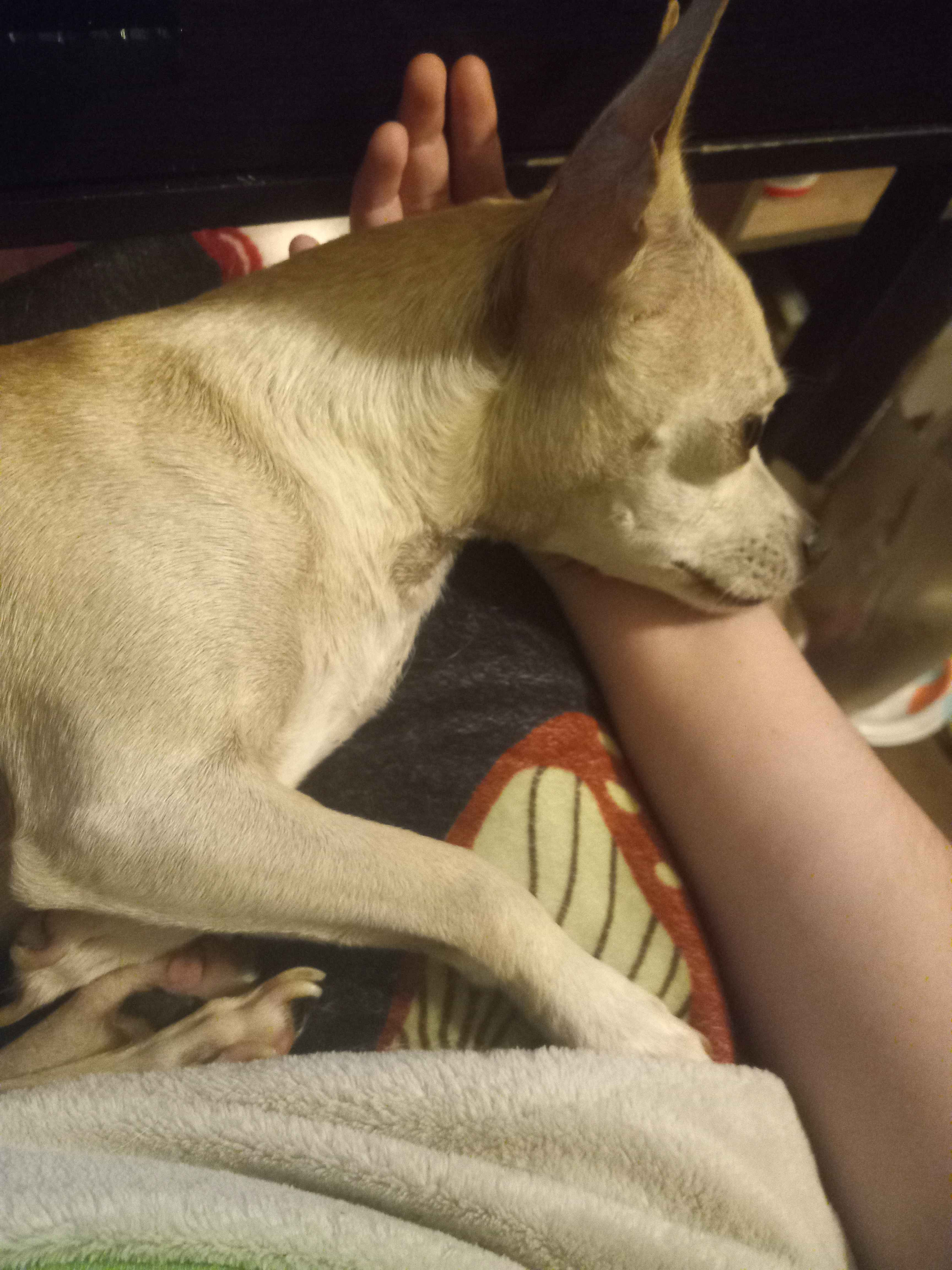 User-uploaded image 1