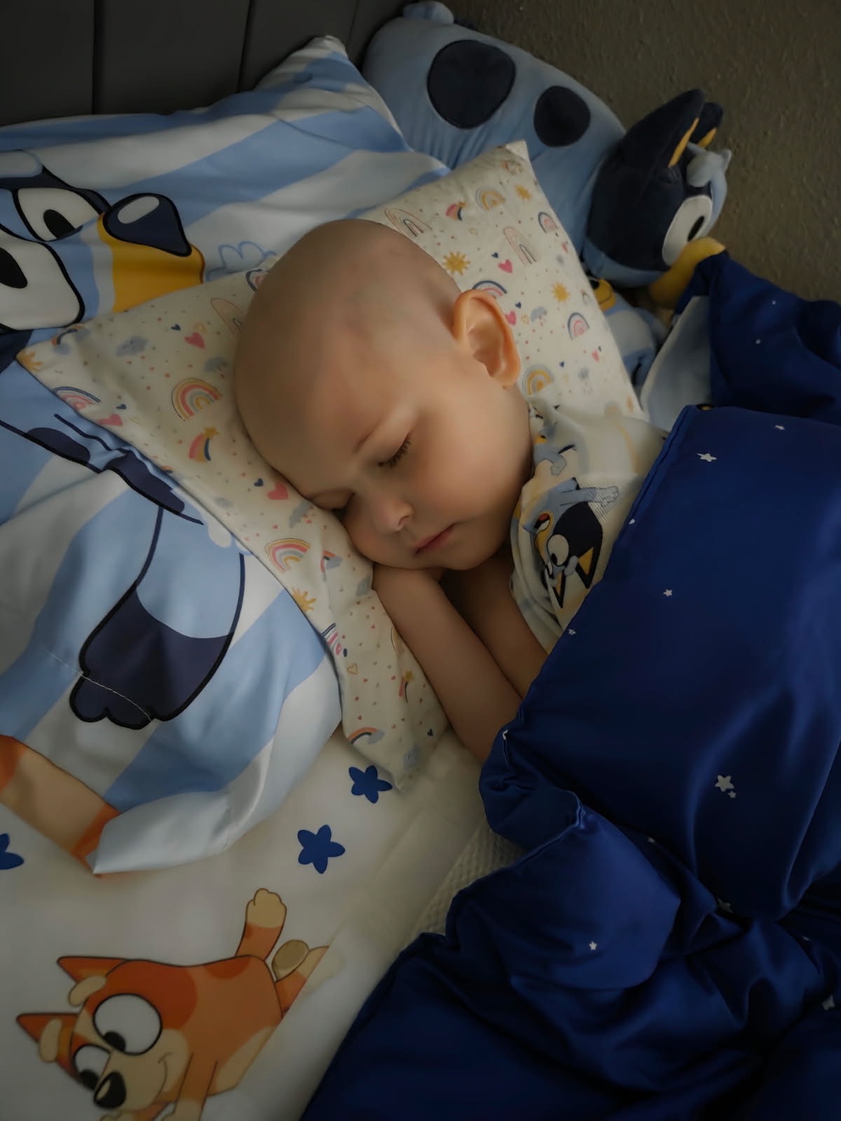 Support Andi's Fight Against Leukemia campaign photo, 4 of 5