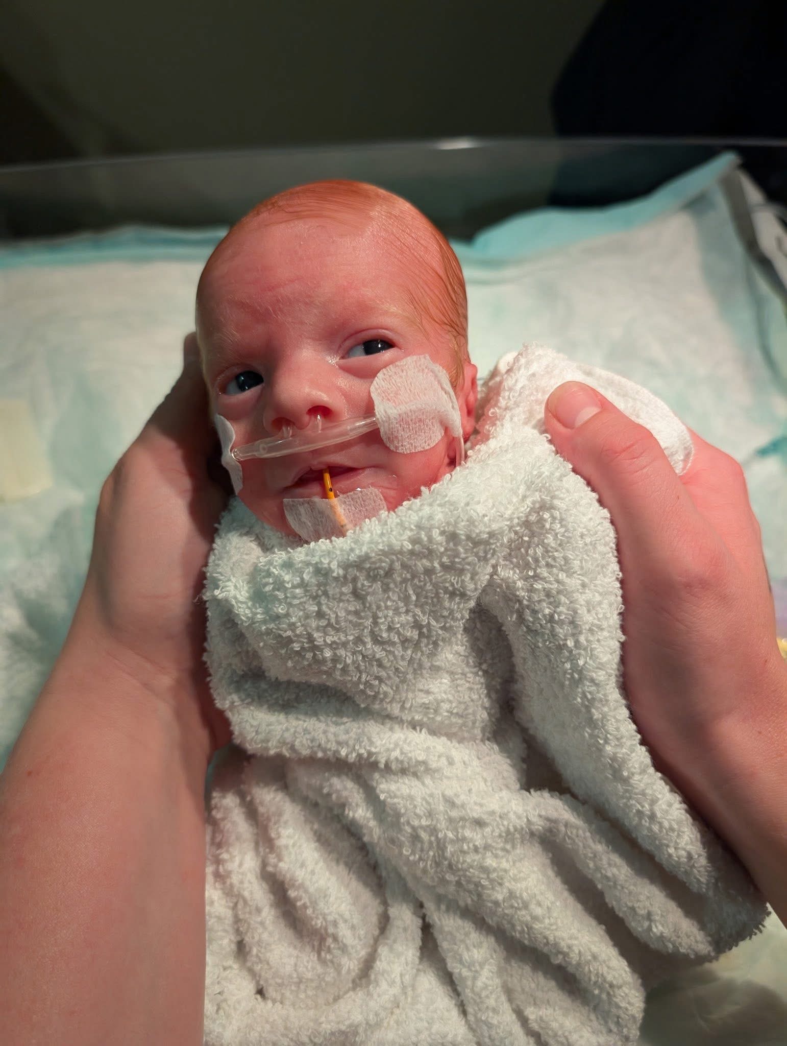 Support the Swann Family's NICU Journey campaign photo, 6 of 7