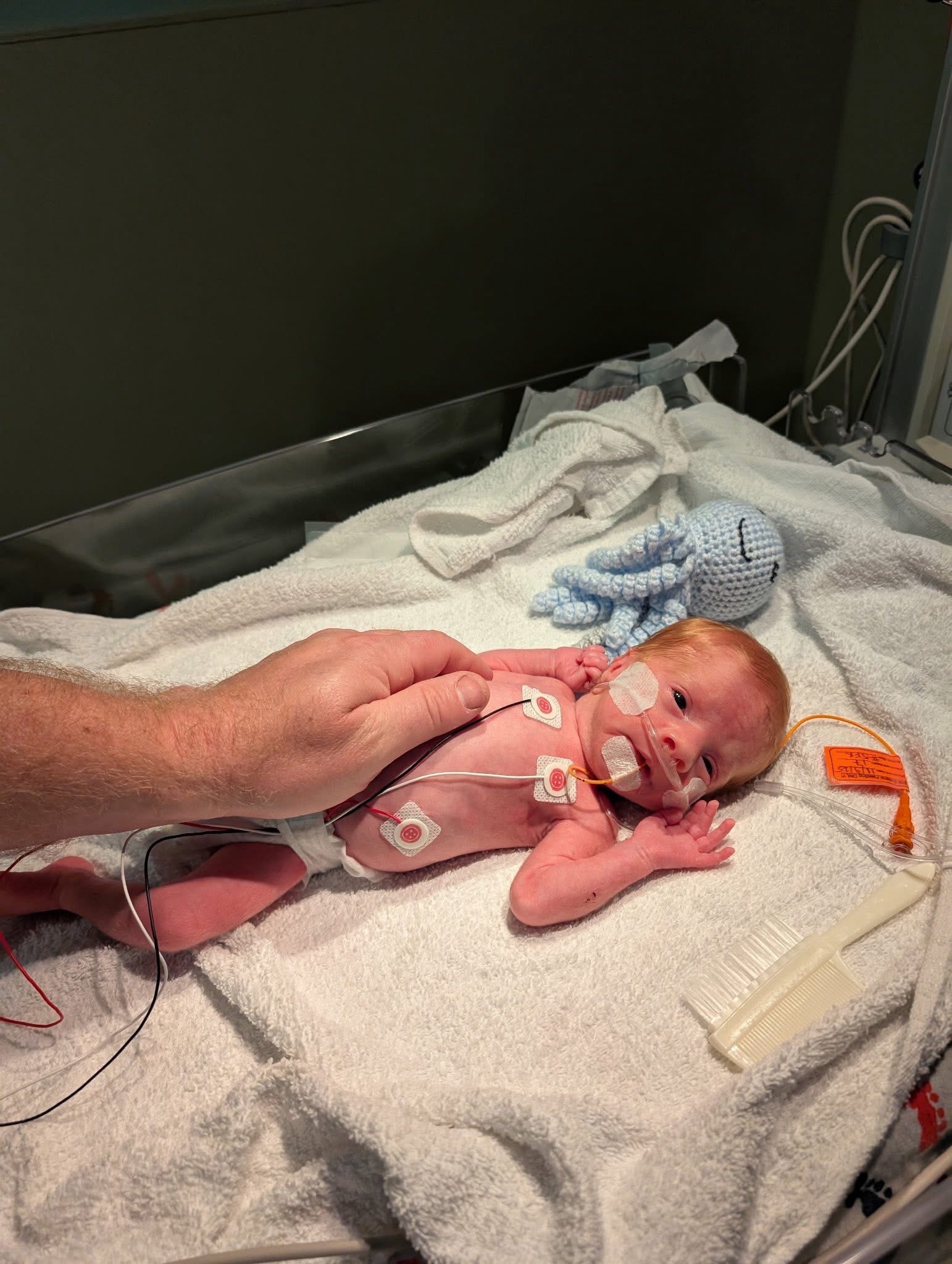 Support the Swann Family's NICU Journey campaign photo, 4 of 7