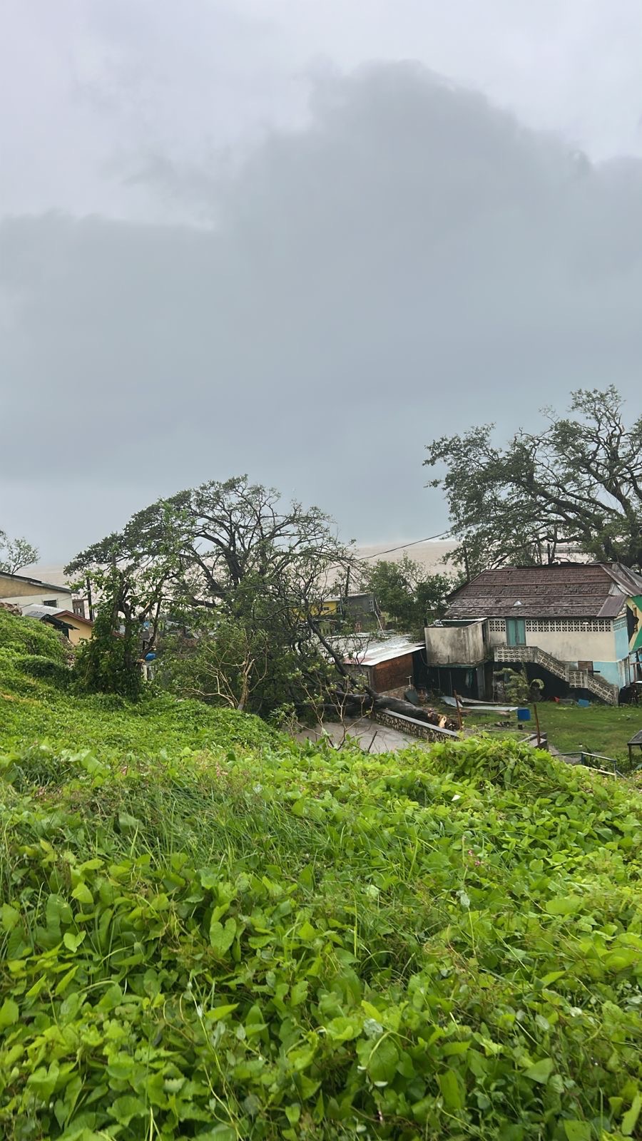 Donate to Restore Rio Bueno, Trelawny campaign photo, 7 of 8