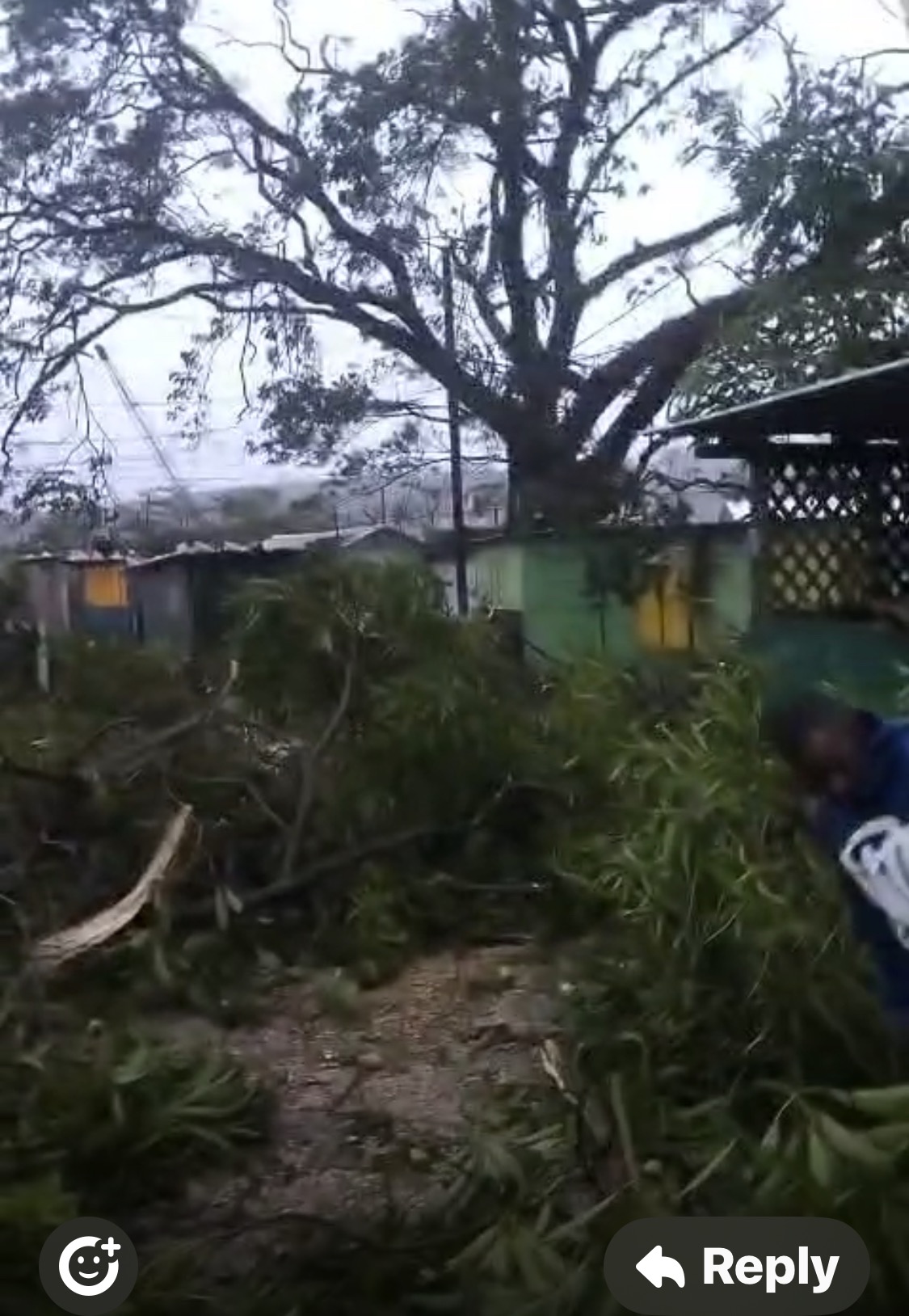 Donate to Restore Rio Bueno, Trelawny campaign photo, 5 of 8