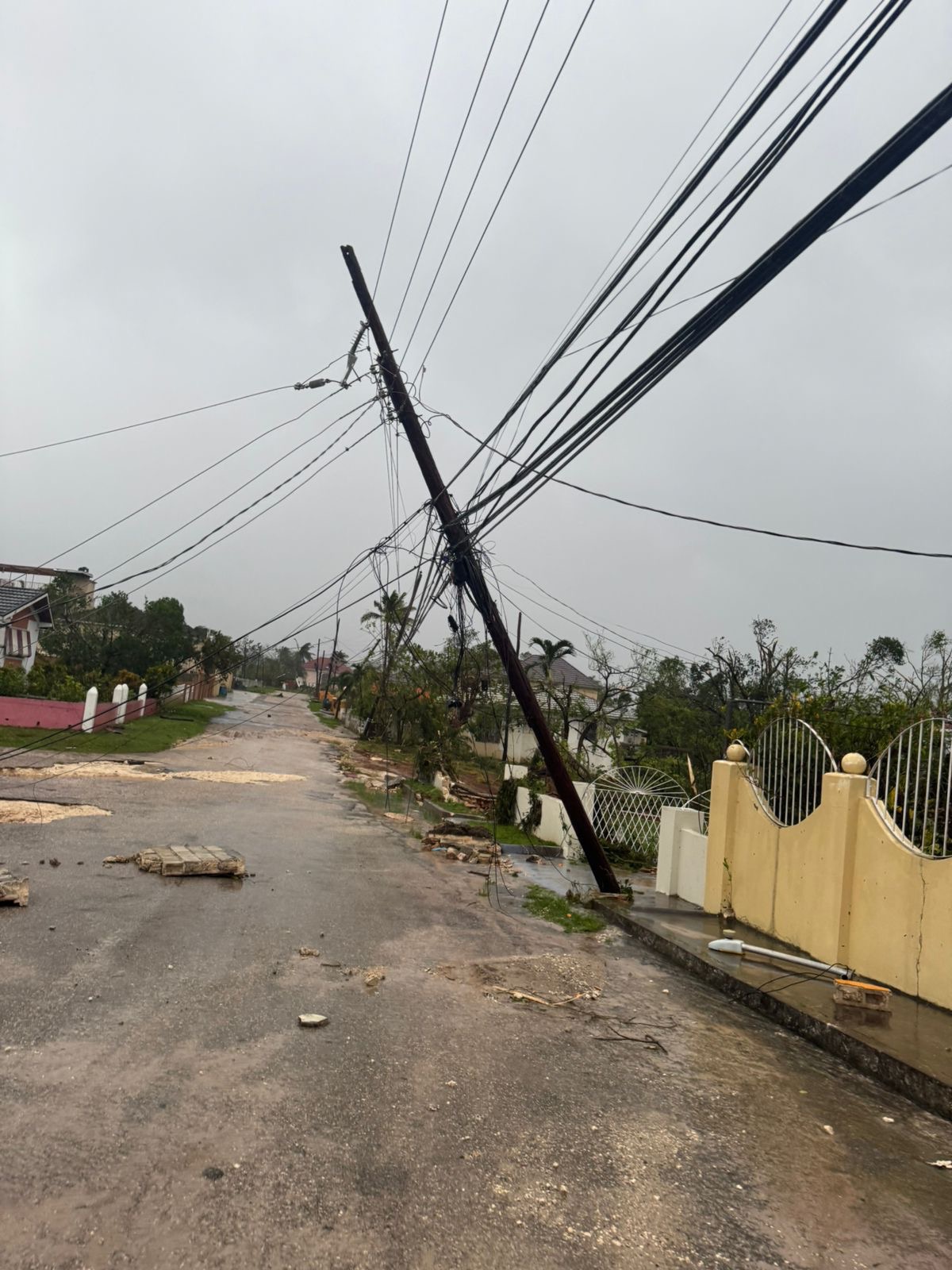 Support St. Elizabeth, Burnt Ground After Hurricane Melissa campaign photo, 6 of 7