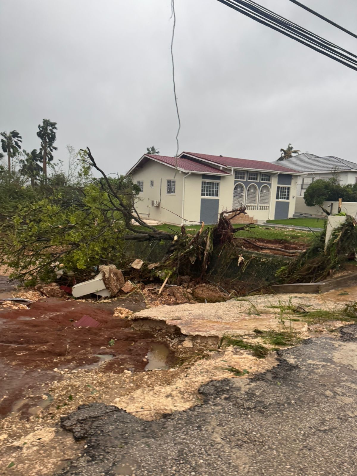 Support St. Elizabeth, Burnt Ground After Hurricane Melissa campaign photo, 2 of 7