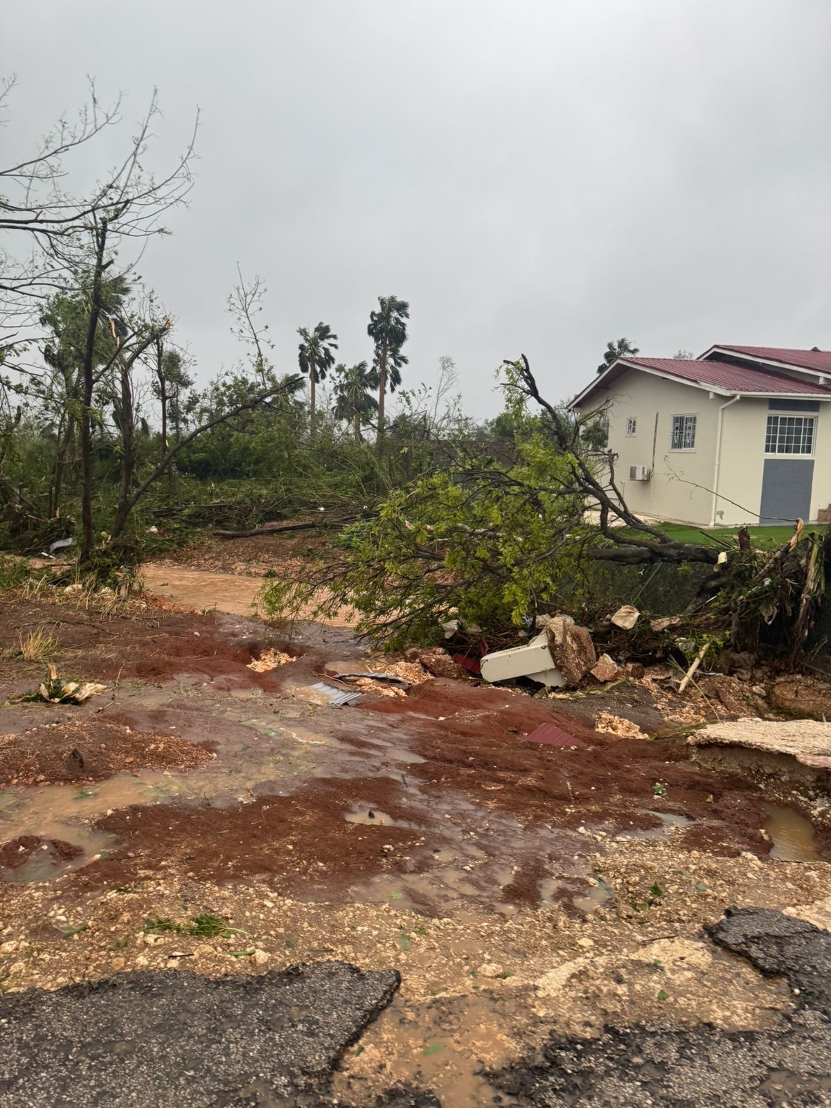 Support St. Elizabeth, Burnt Ground After Hurricane Melissa campaign photo, 4 of 7