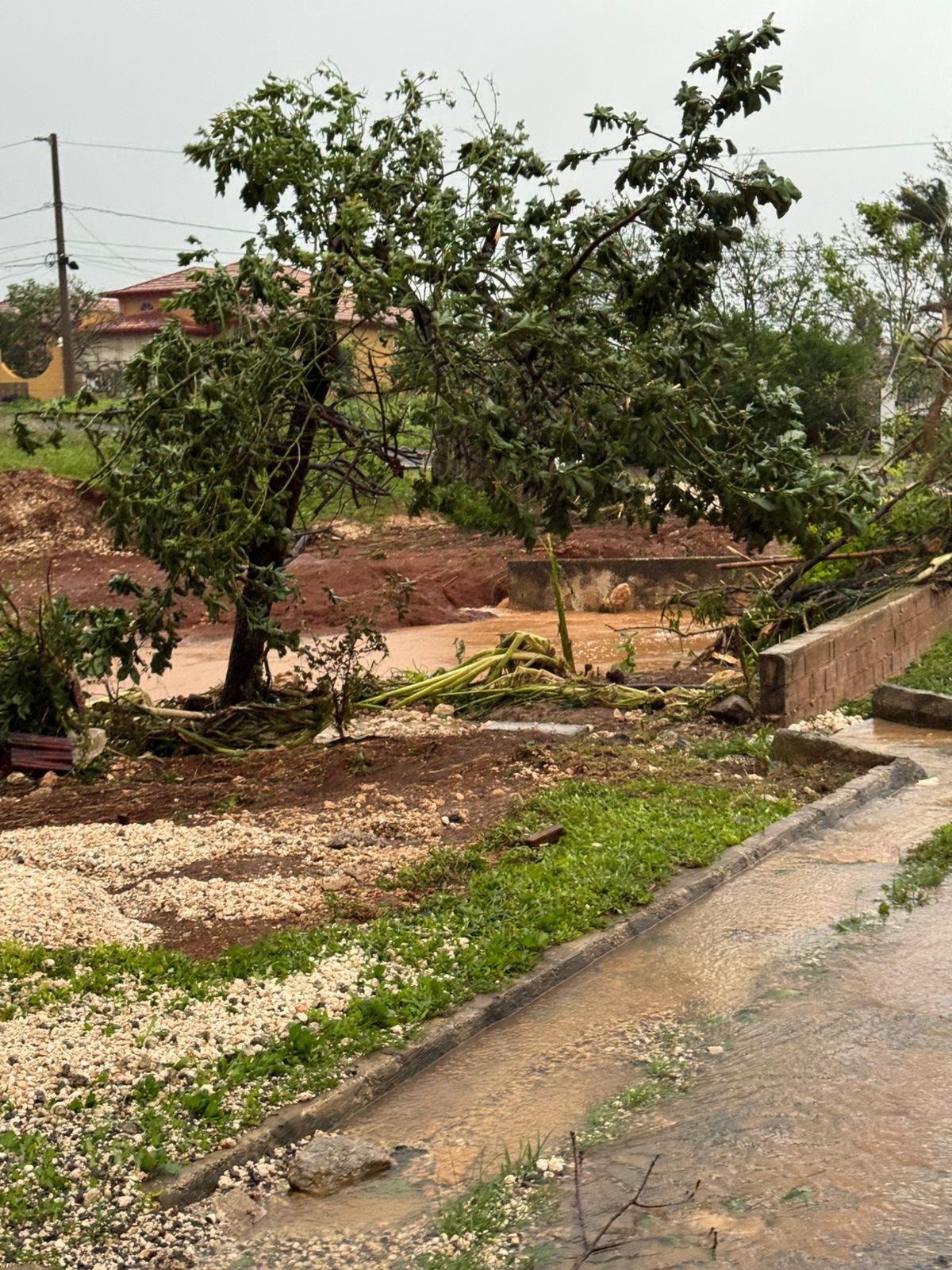 Support St. Elizabeth, Burnt Ground After Hurricane Melissa campaign photo, 5 of 7