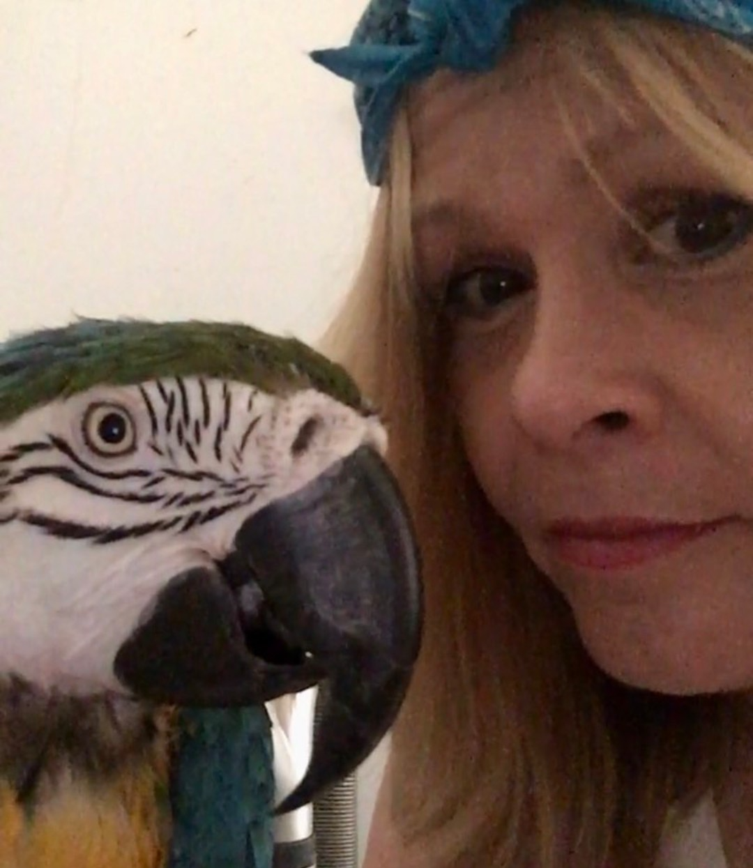 Help Diane Save Kamokie: Emergency Vet Care campaign photo, 7 of 8