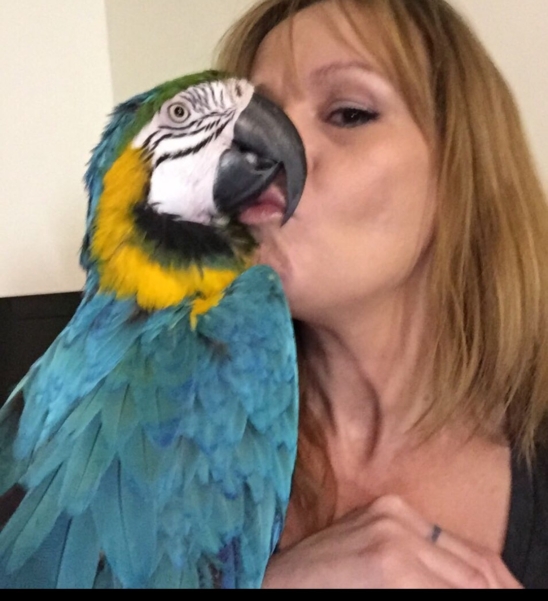 Help Diane Save Kamokie: Emergency Vet Care campaign photo, 2 of 8