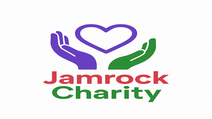 User-uploaded image 1