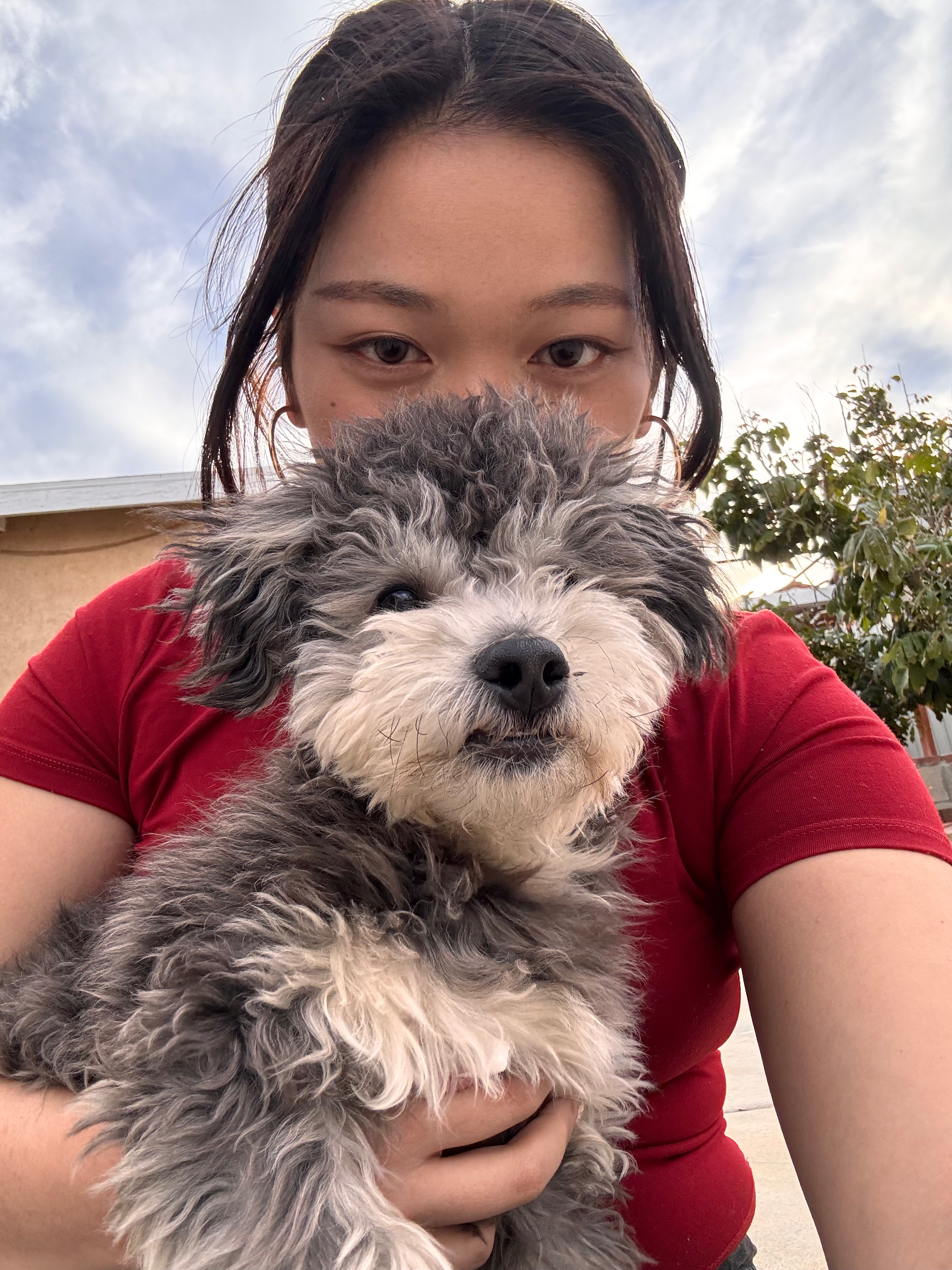 Support Rootbeer's Journey to Full Recovery campaign photo, 4 of 7
