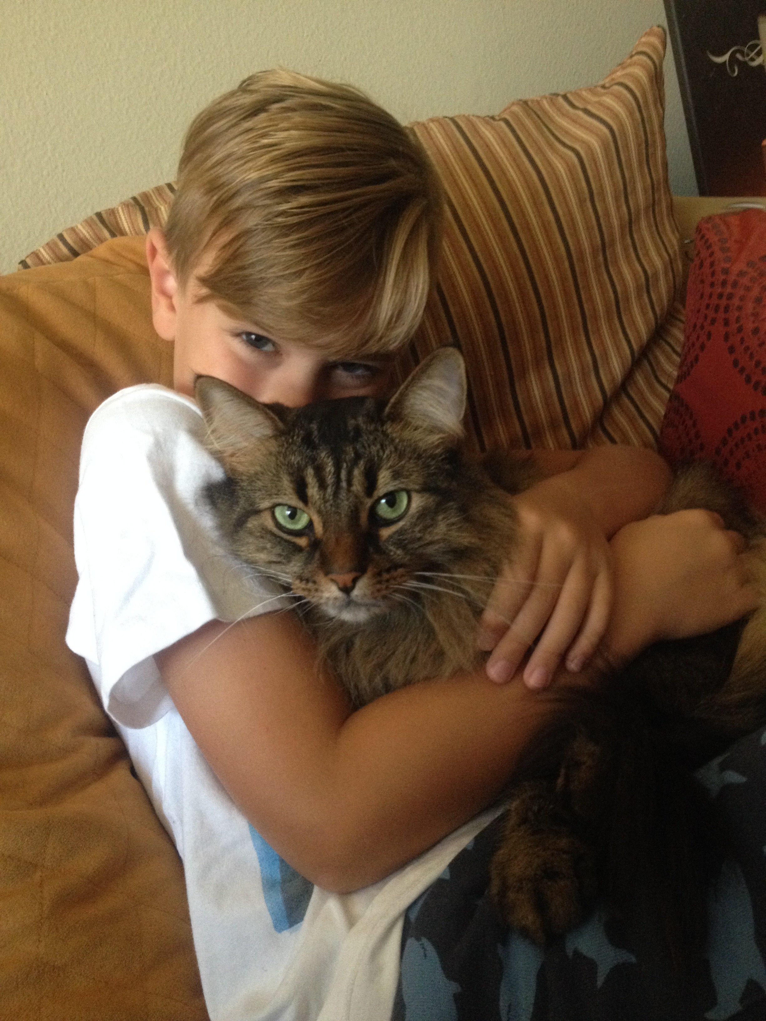 Help Bacardi & Mojito Get Emergency Vet Care campaign photo, 6 of 8