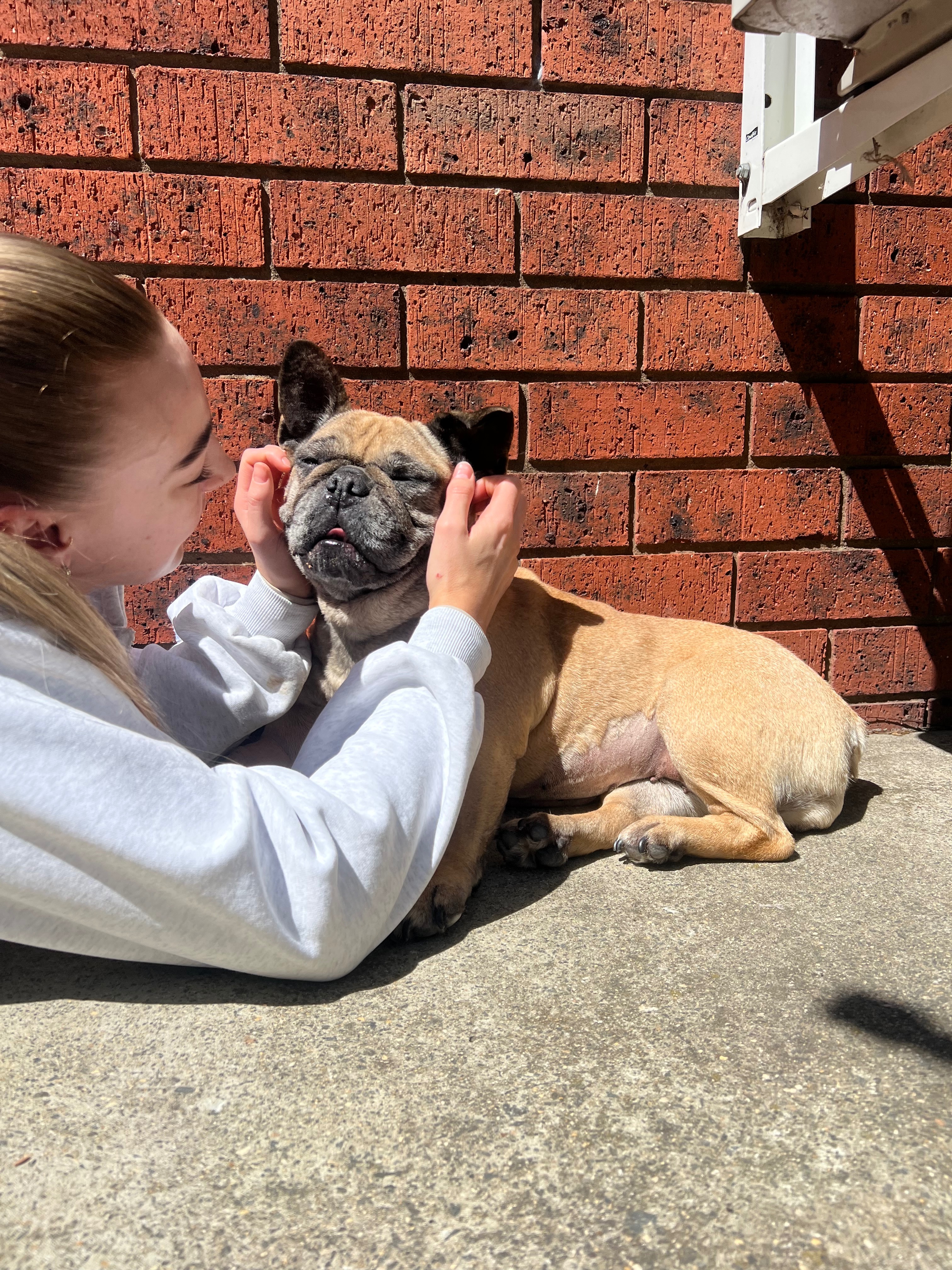 Help us, help our little Meeka❤️ campaign photo, 4 of 5