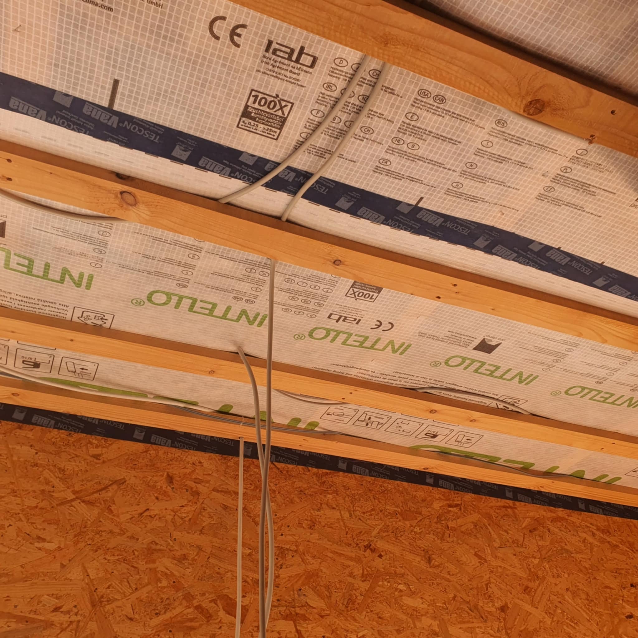 Kampagnen-Foto für Aufbau von 2 Tinyhäusern in unserem Gogu Shelter in Rumänien, 2 von 7
