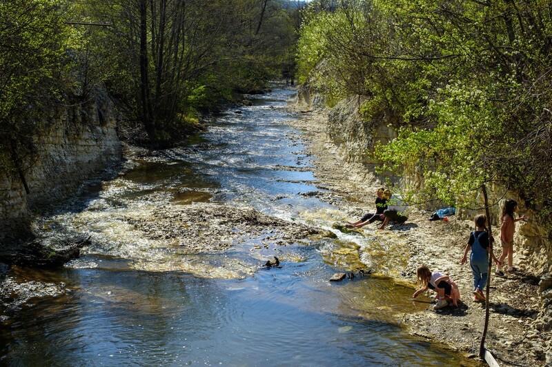 User-uploaded image 1