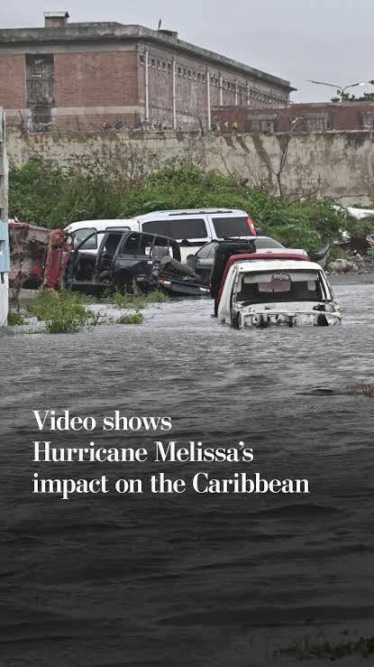 Support Yhaneek's Relief Efforts in Jamaica campaign photo, 7 of 8