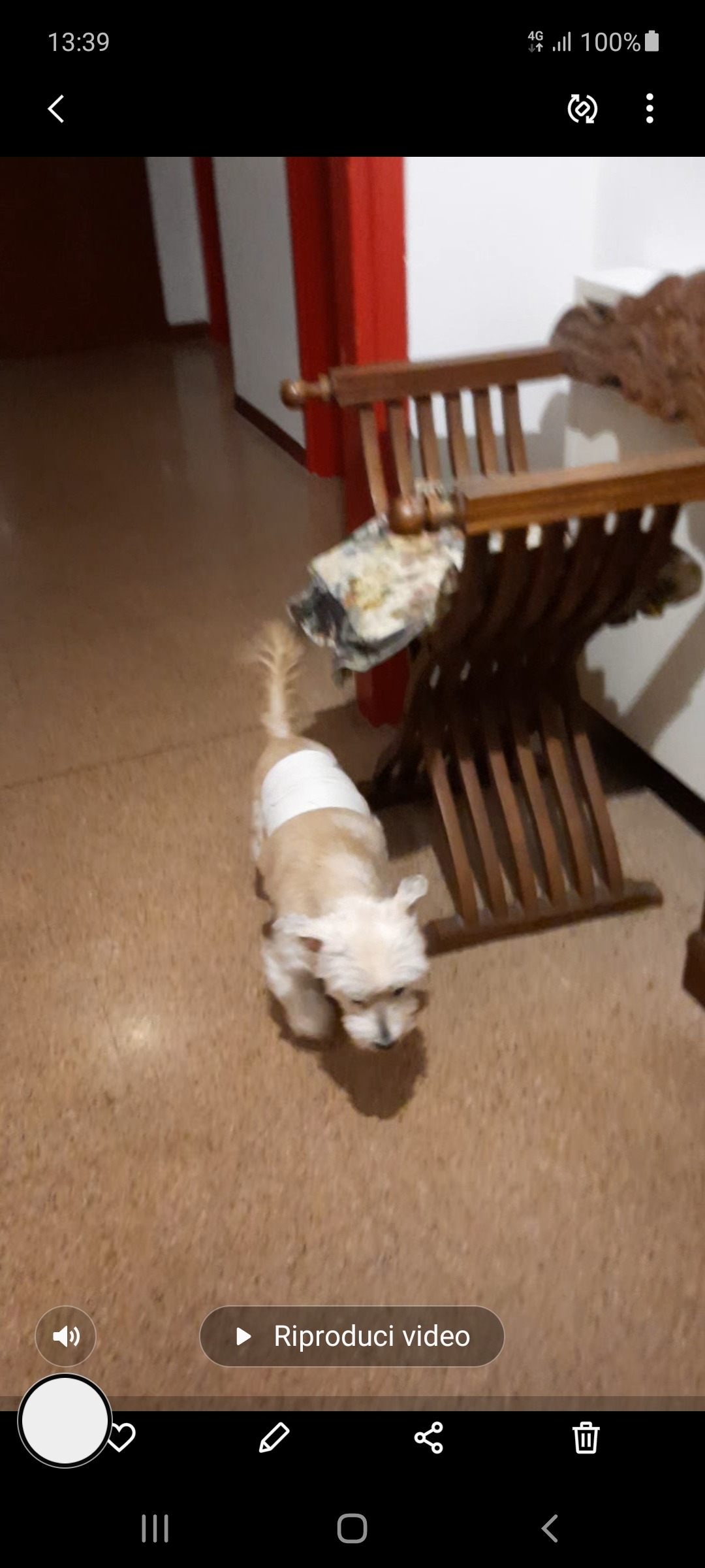 User-uploaded image 1