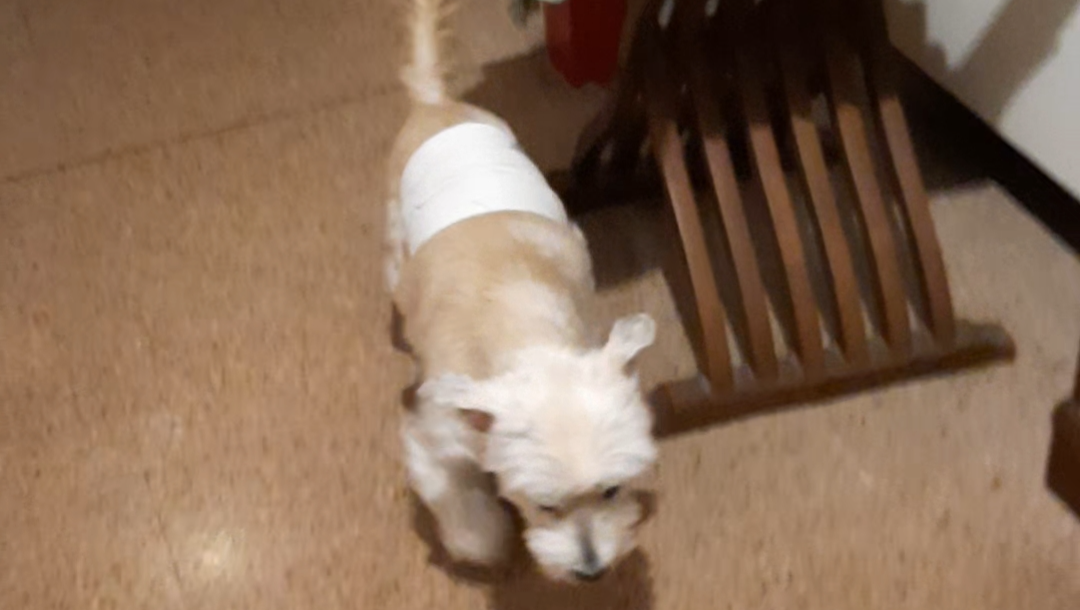 Aiutaci a non arrenderci pinned link photo