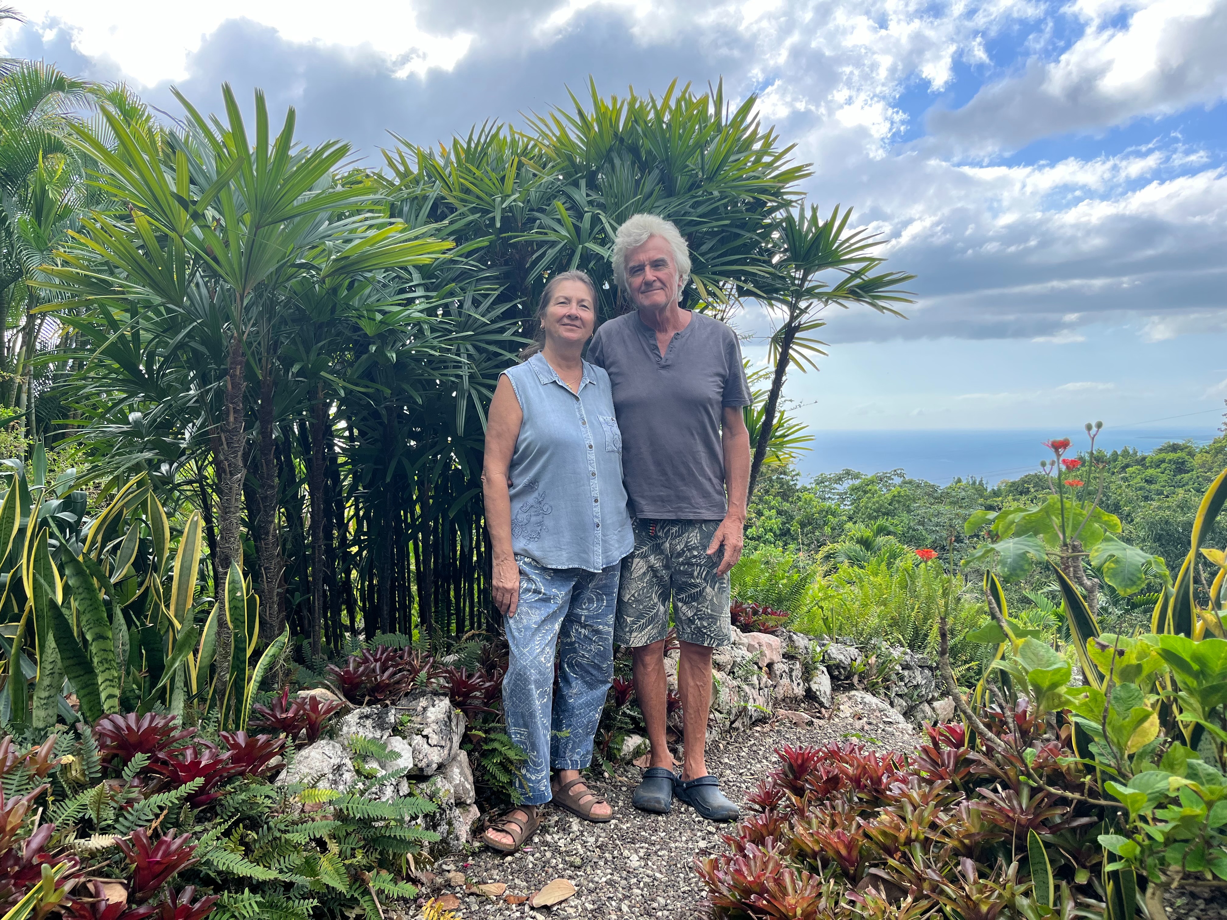 User-uploaded image 1