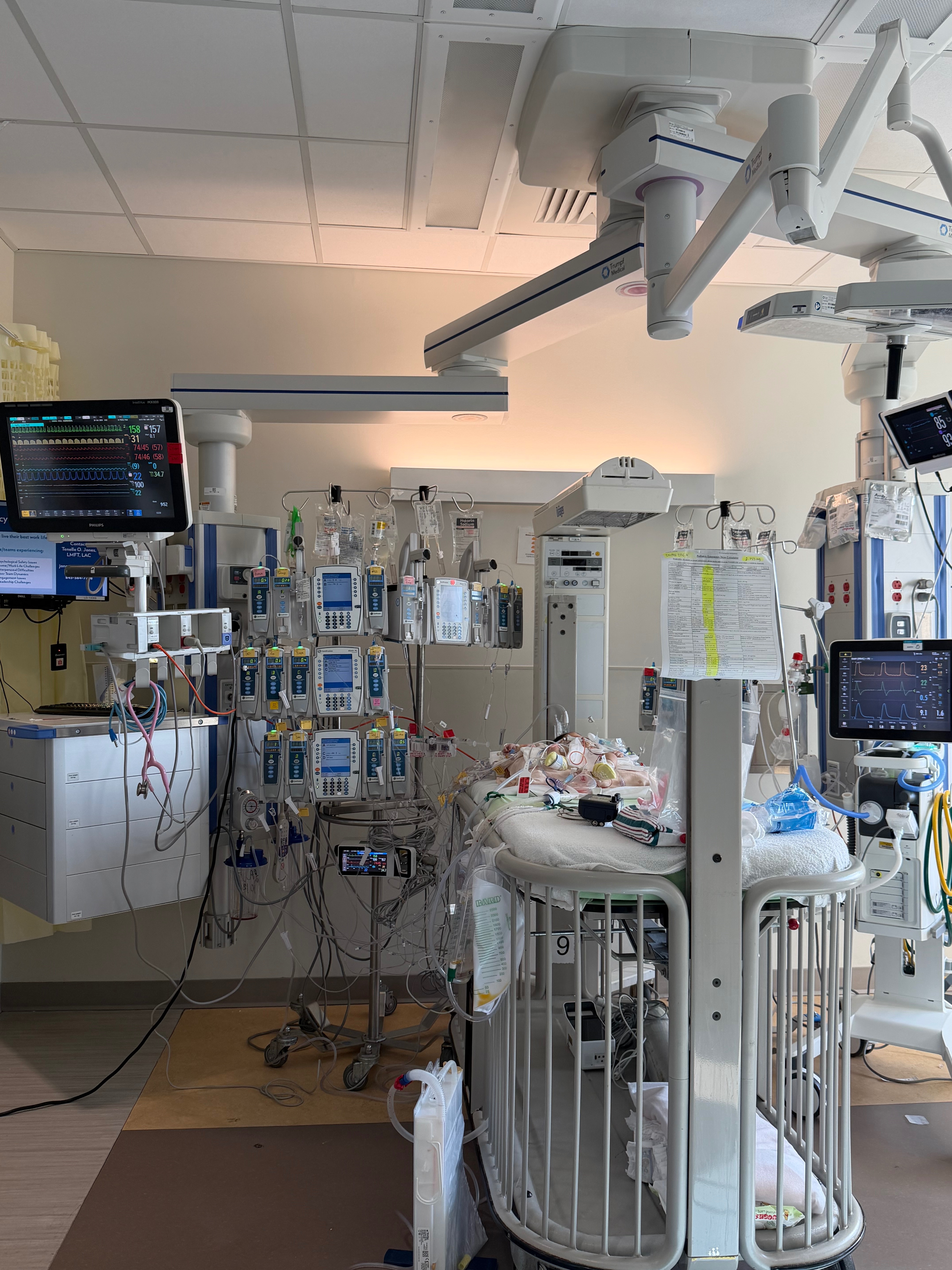 Donate to Baby Sophia's Heart Surgery Journey campaign photo, 2 of 6