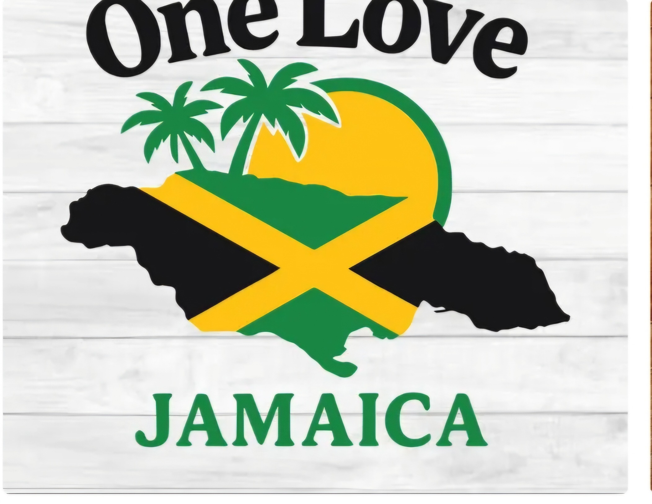 Jamaica Hurricane Melissa Aftermath Recovery campaign photo, 7 of 8