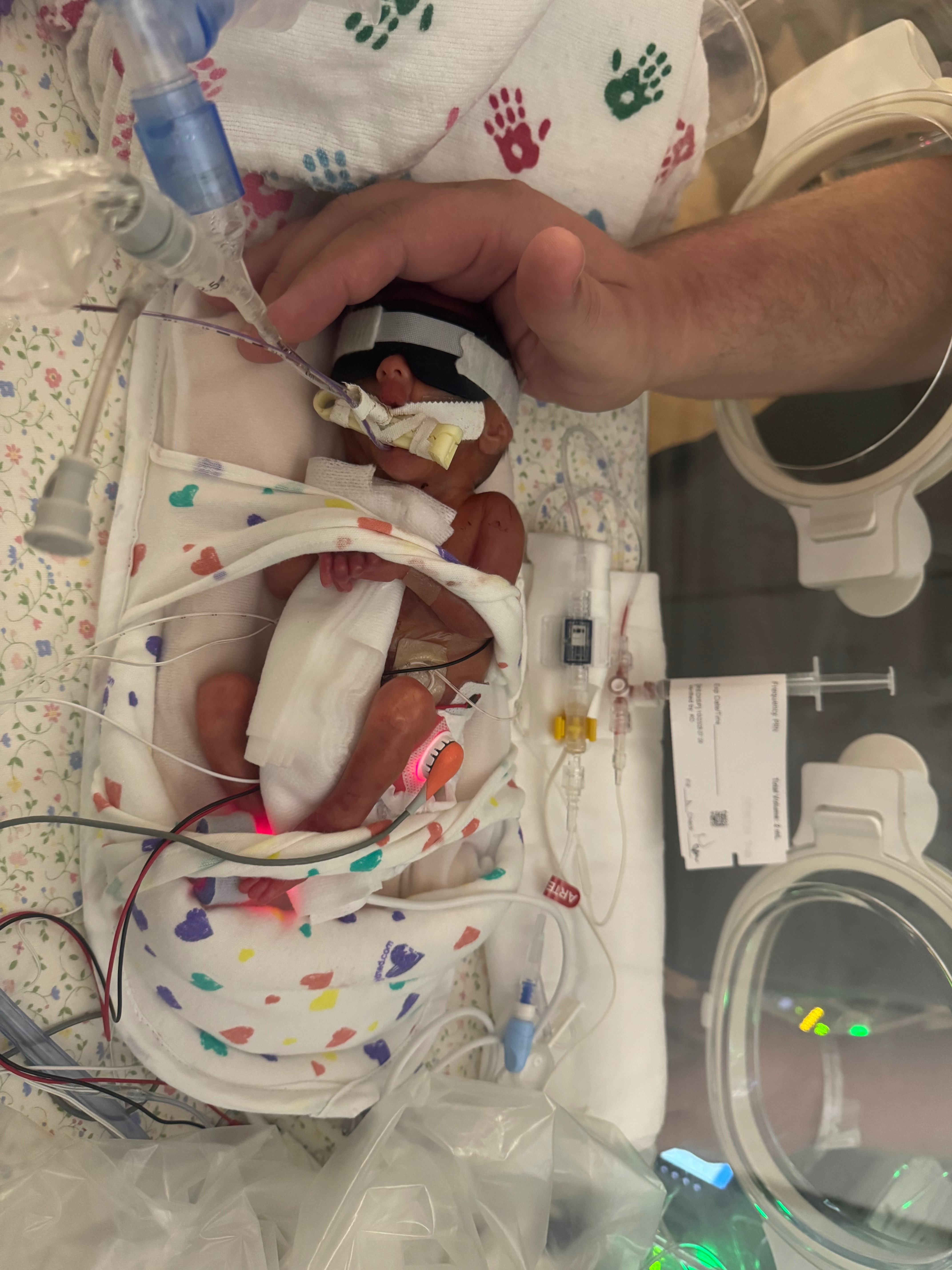 Fundraiser for Rogan Morse by Sierra Jeppesen : Support ...