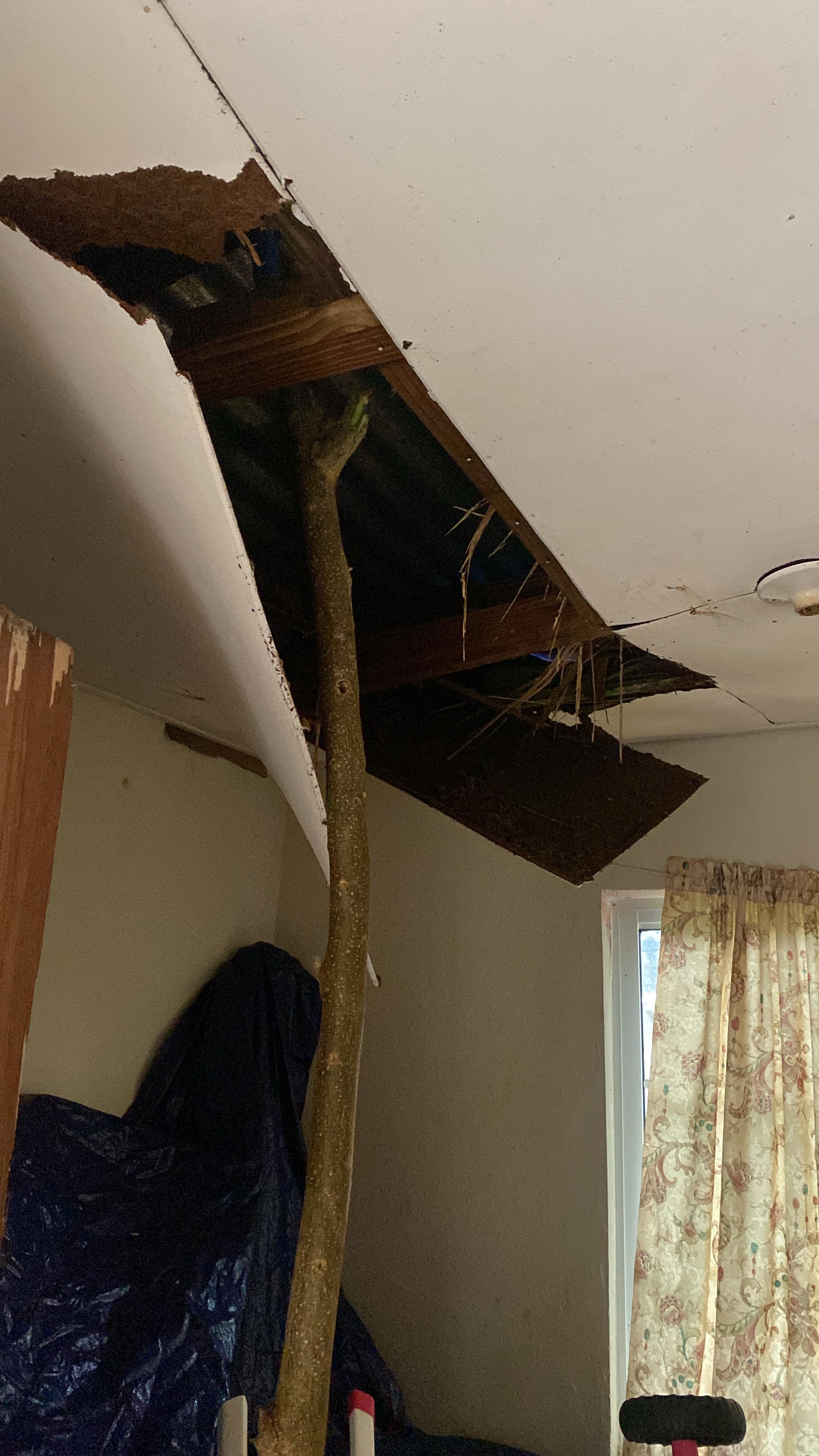 Help Annabelle's Family Recover from Hurricane campaign photo, 4 of 7