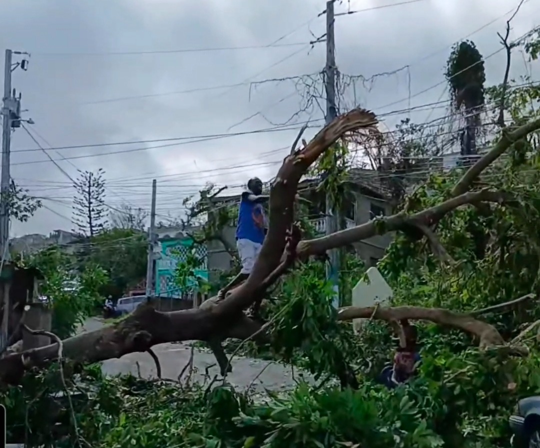 Support Hylton's Effort for Jamaica's Hurricane Relief campaign photo, 6 of 7