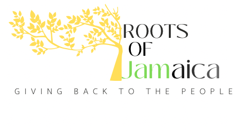 Restore Hope for St. Elizabeth Families in Need photo