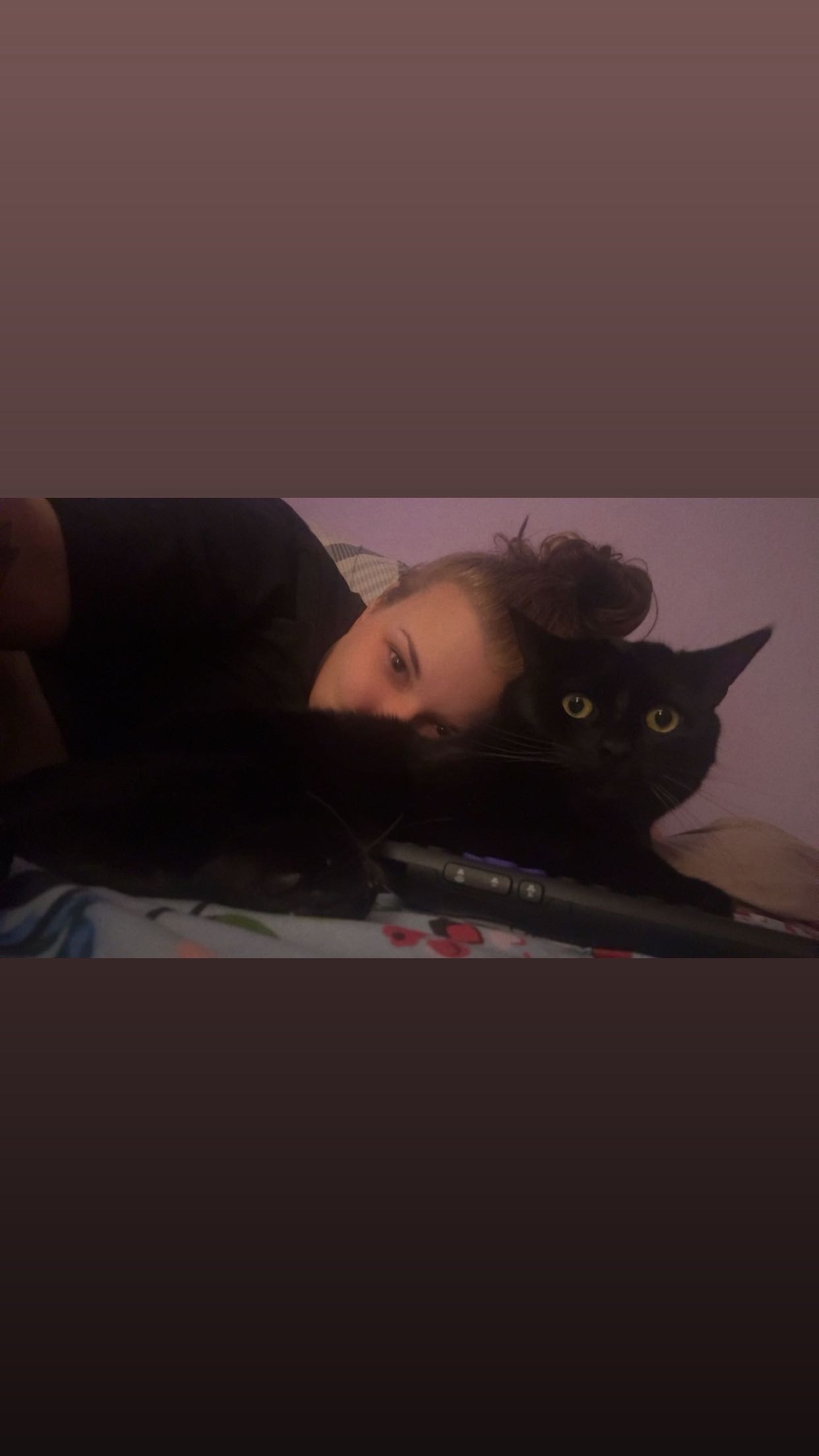 Help me with vet bills after Draco’s passing  campaign photo, 7 of 8