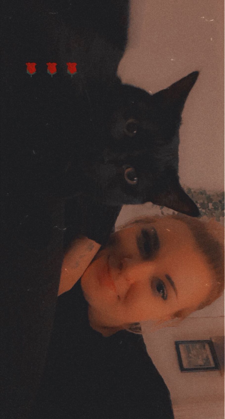Help me with vet bills after Draco’s passing  campaign photo, 6 of 8