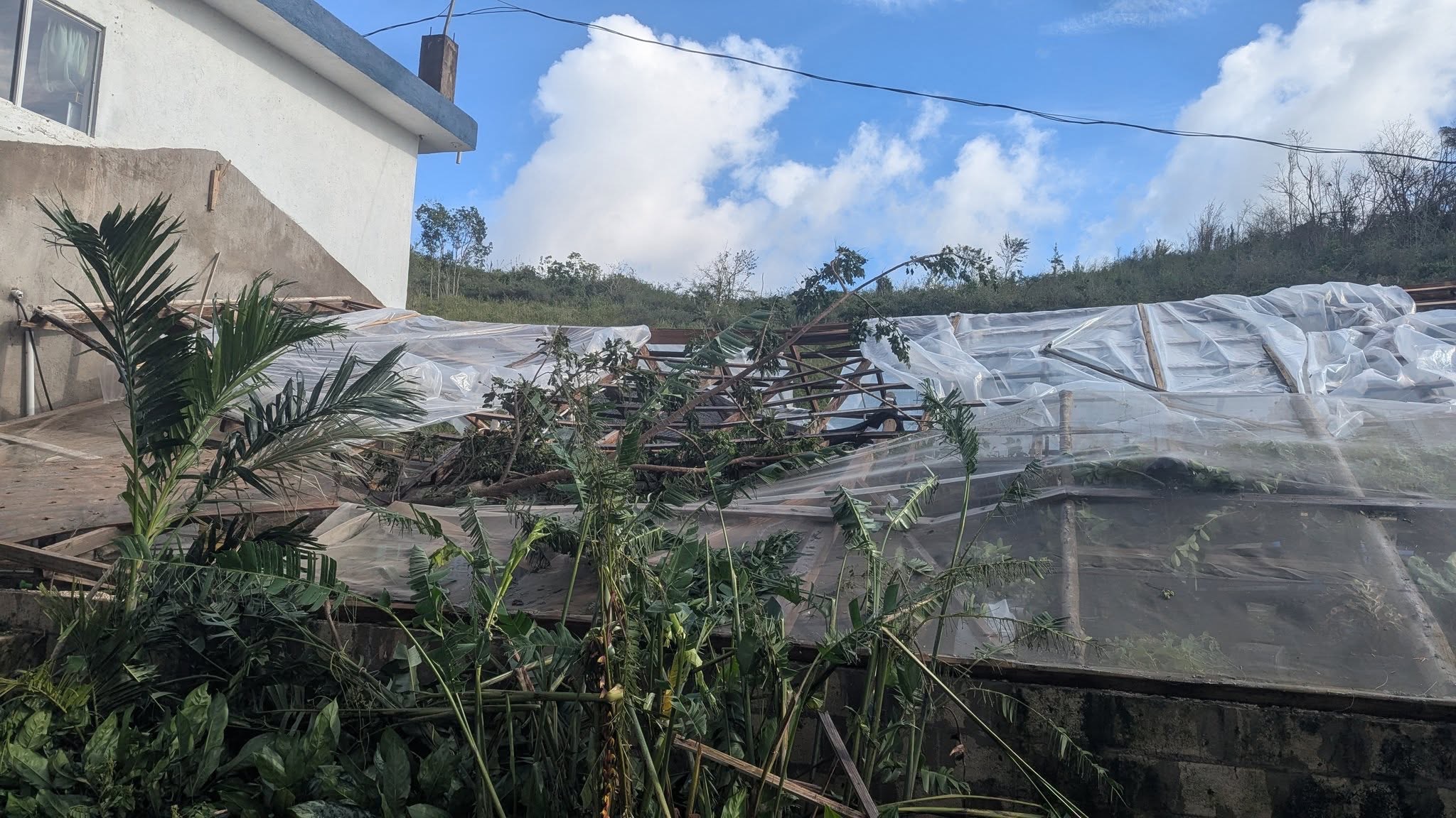 Help Restore Tafara Farm After Hurricane Melissa campaign photo, 6 of 7