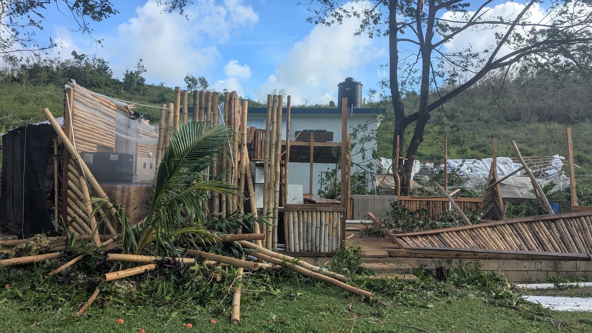 Help Restore Tafara Farm After Hurricane Melissa campaign photo, 4 of 7