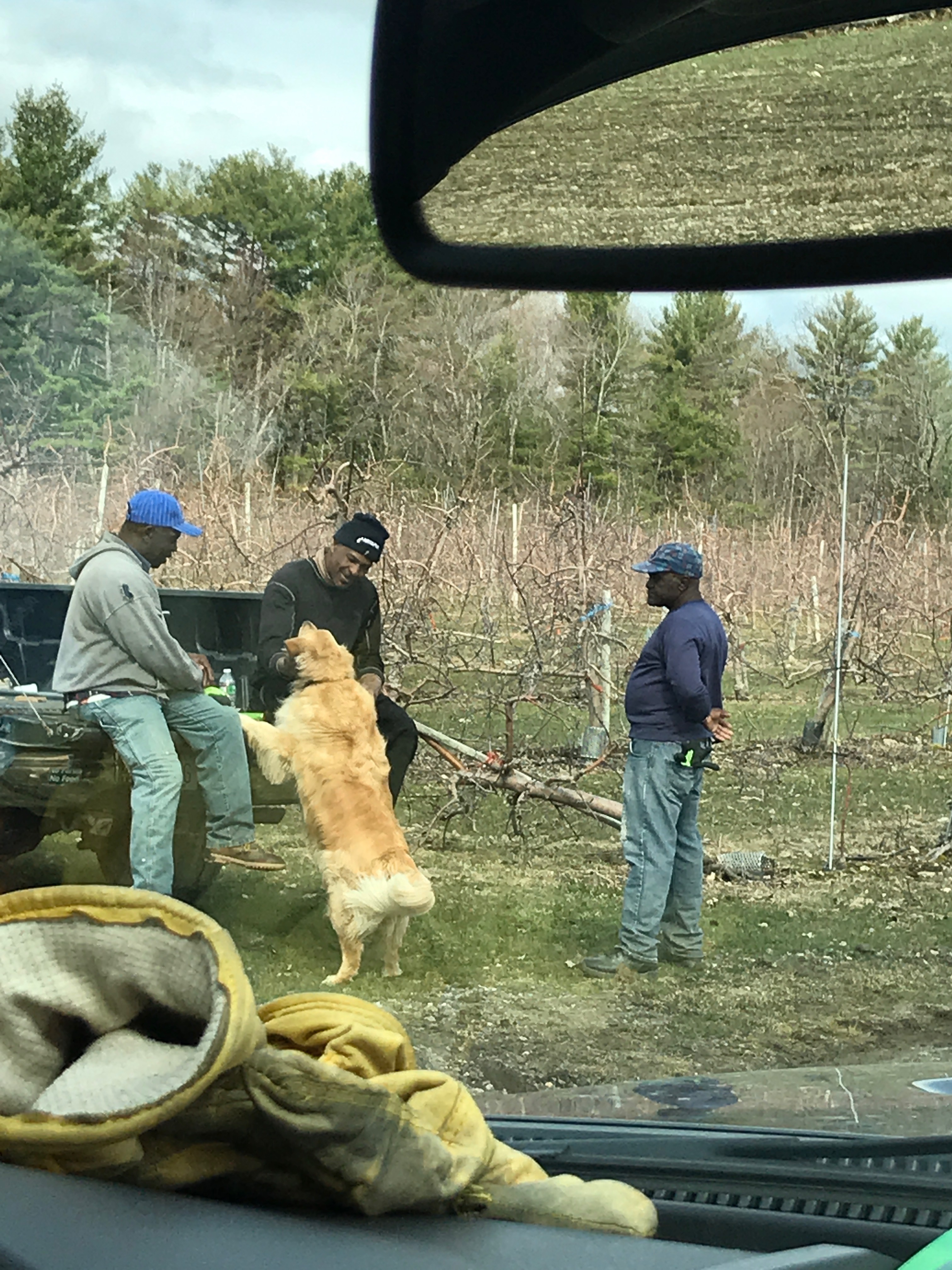 Rebuilding Hope for Our Jamaican Farm Family campaign photo, 6 of 8