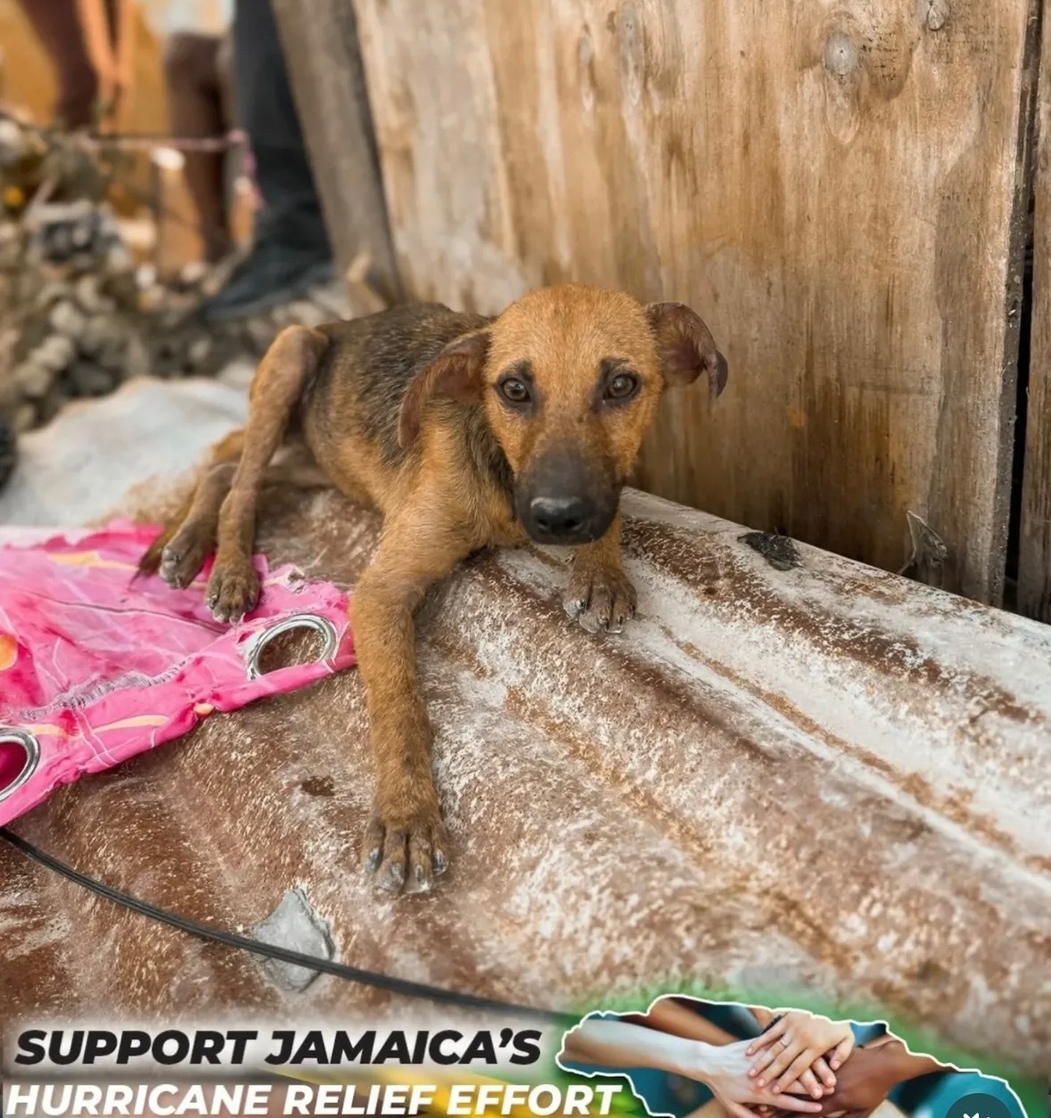 Help Montego Bay, St James, Jamaica please!! campaign photo, 2 of 8