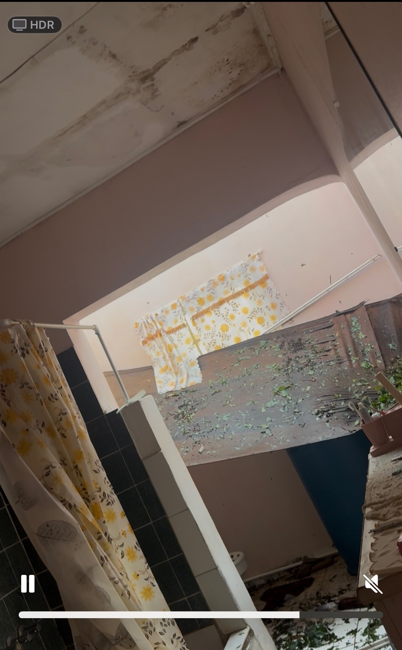 Support Nathanya's Family After Hurricane Devastation campaign photo, 4 of 7
