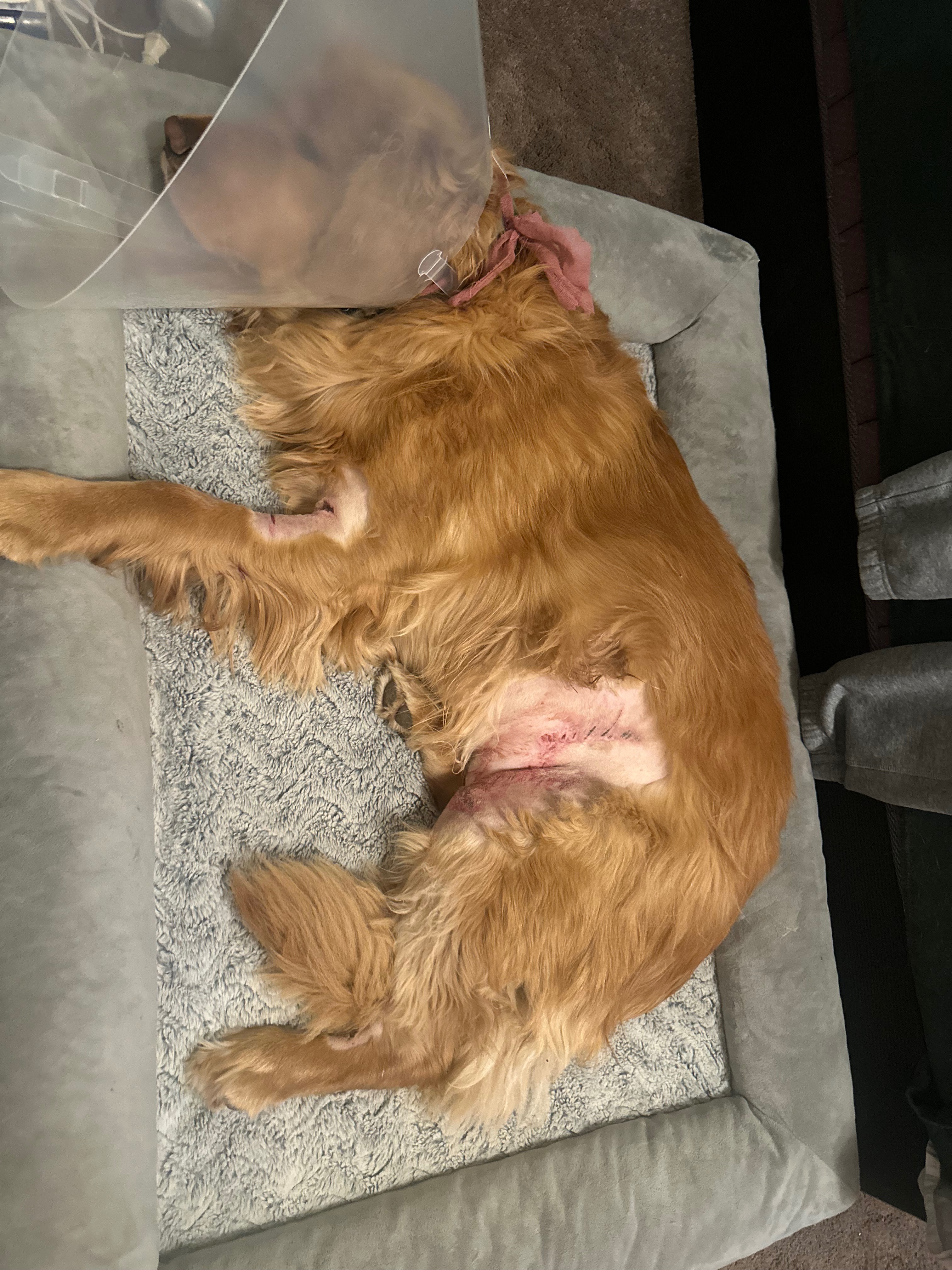 Support Franklin's Recovery Journey campaign photo, 6 of 8