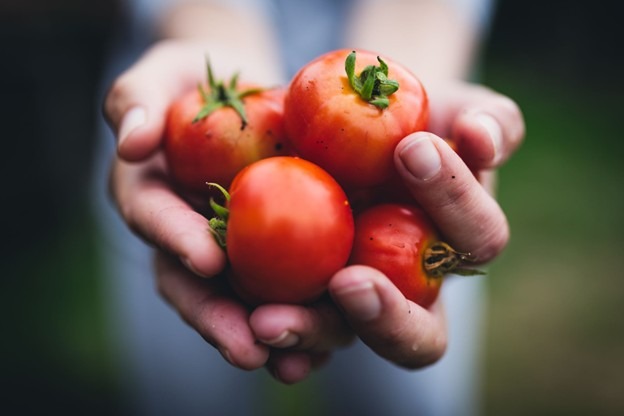 Help Provide Food Security During the SNAP Crisis campaign photo, 2 of 8