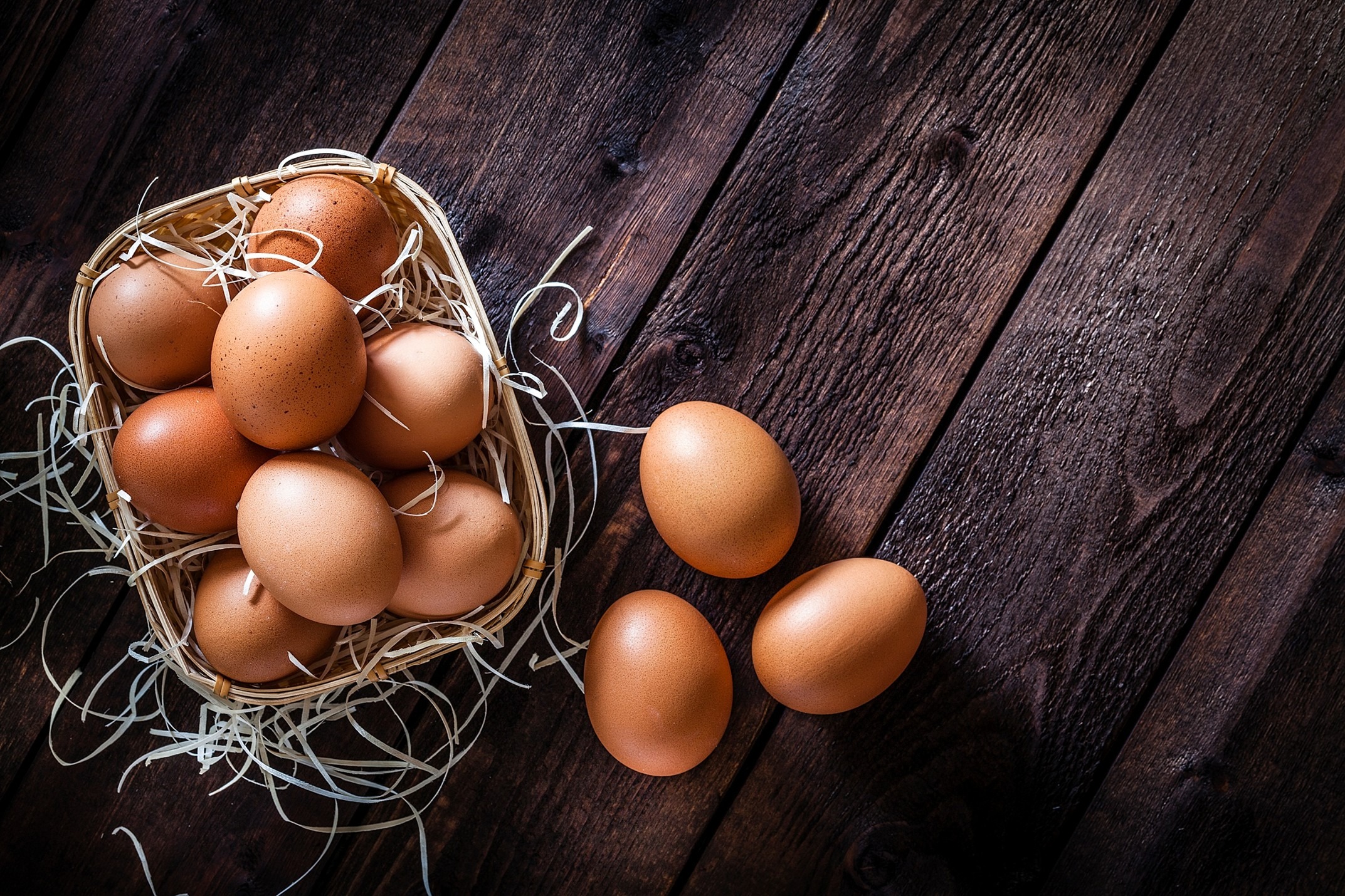 Help Provide Food Security During the SNAP Crisis campaign photo, 6 of 8