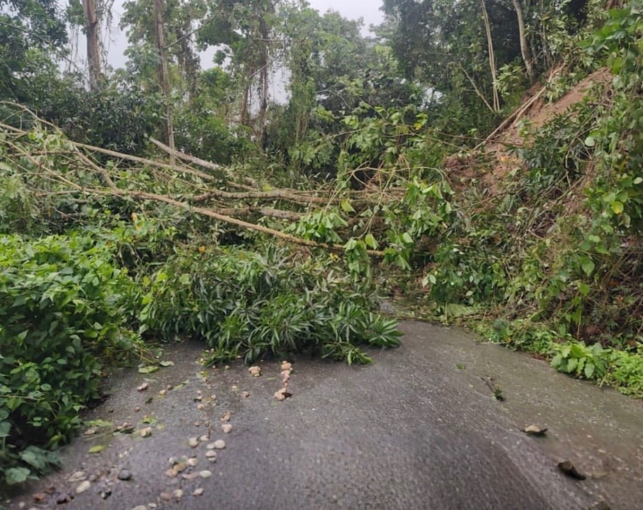 Support Plantation Heights' Recovery from Hurricane campaign photo, 6 of 7