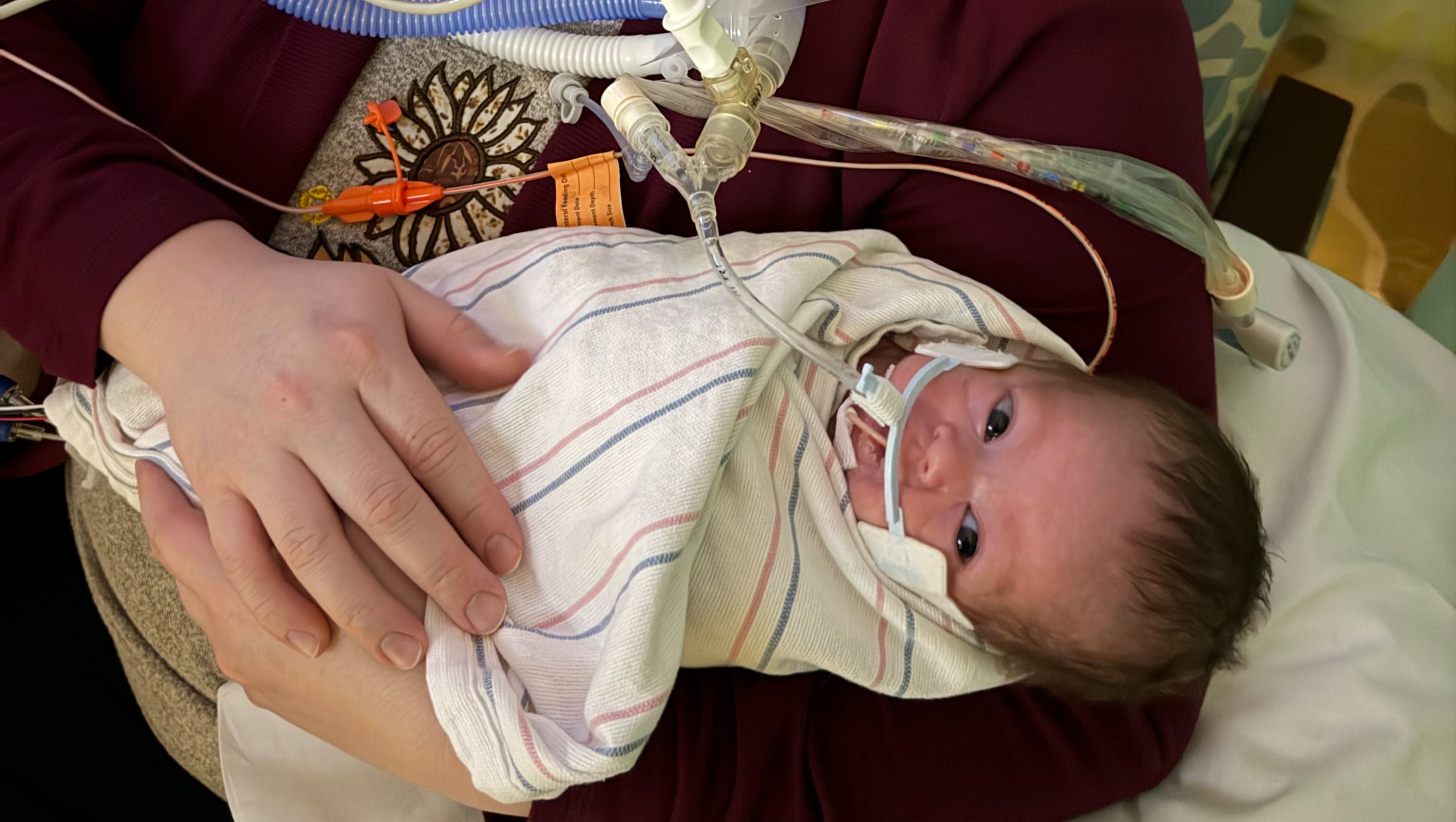 Support Baby Sofia Awakuni's NICU Journey