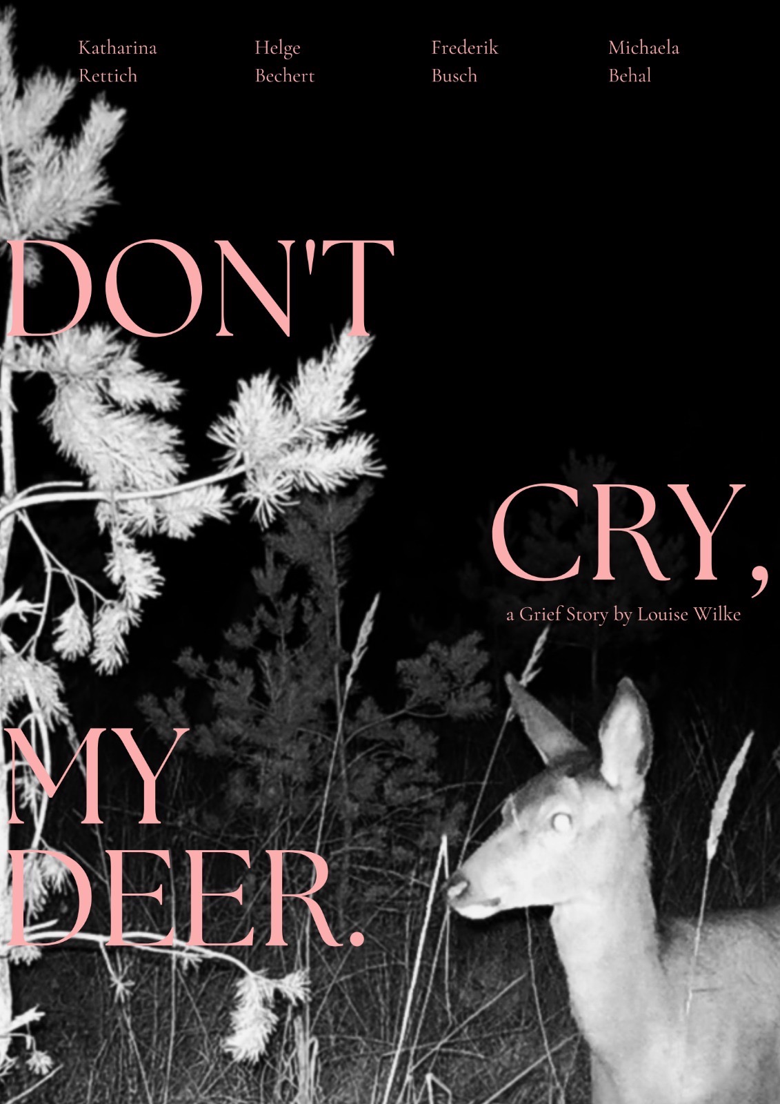 Kurzfilm sucht Bühne: DON‘T CRY MY DEER campaign photo, 4 of 5