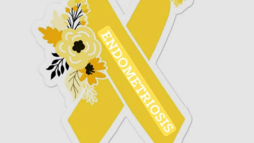 10 year diagnosed endometriosis and adenomyosis Warrior photo