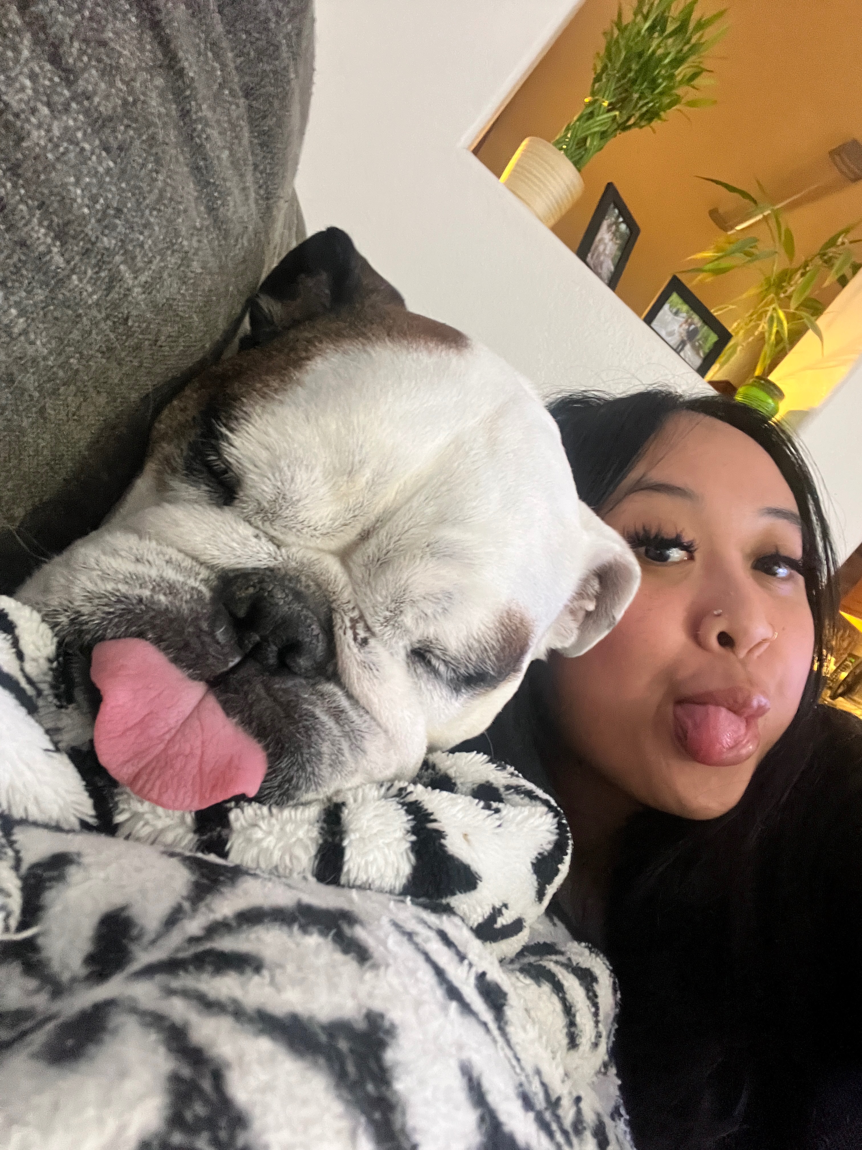 For My Sweet Boy Kona — Surgery & Recovery Fund campaign photo, 2 of 7