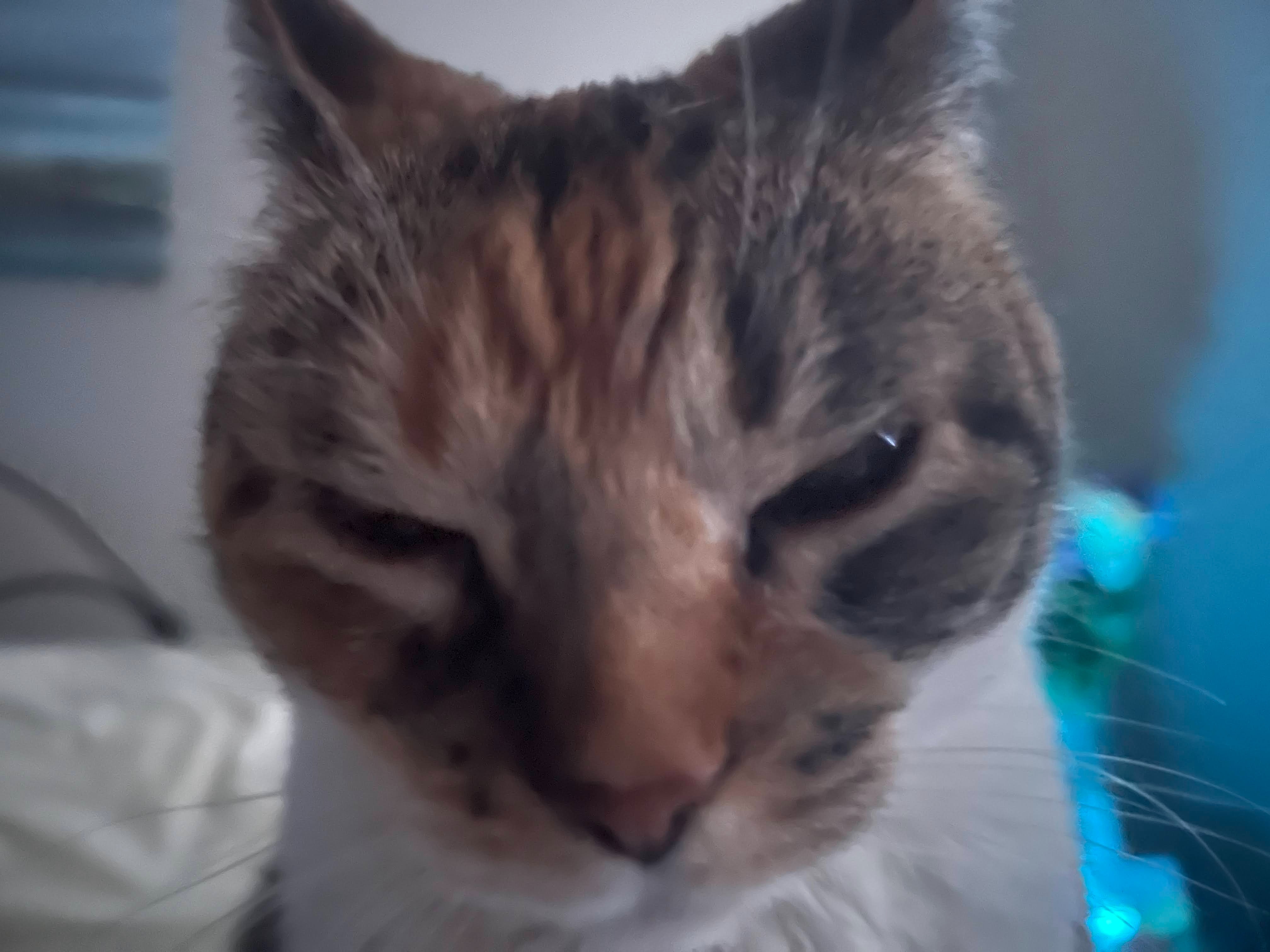 Merida's medical bills campaign photo, 4 of 5