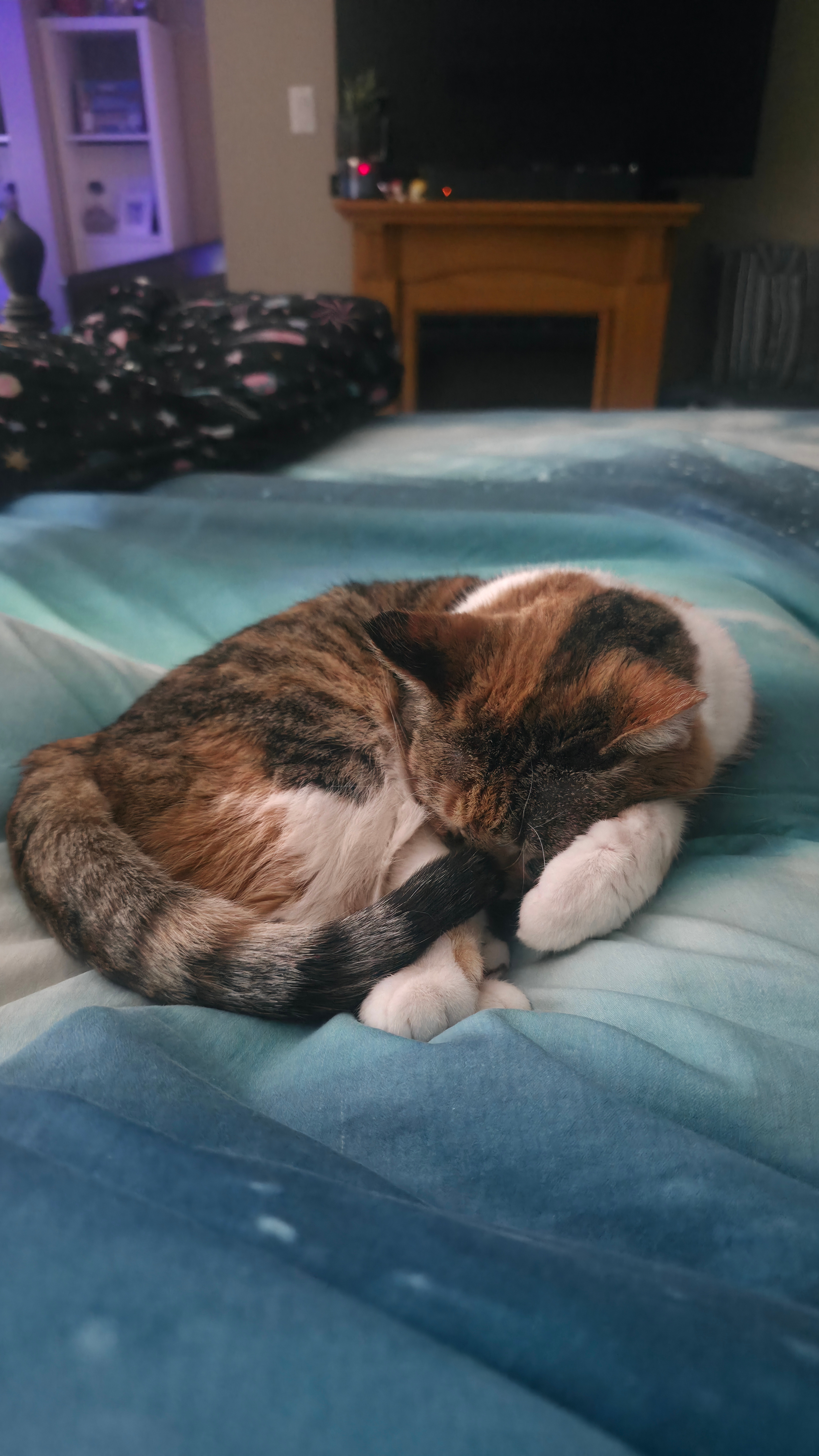 Merida's medical bills campaign photo, 2 of 5