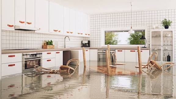 Dani - home flooding recovery campaign photo, 2 of 4
